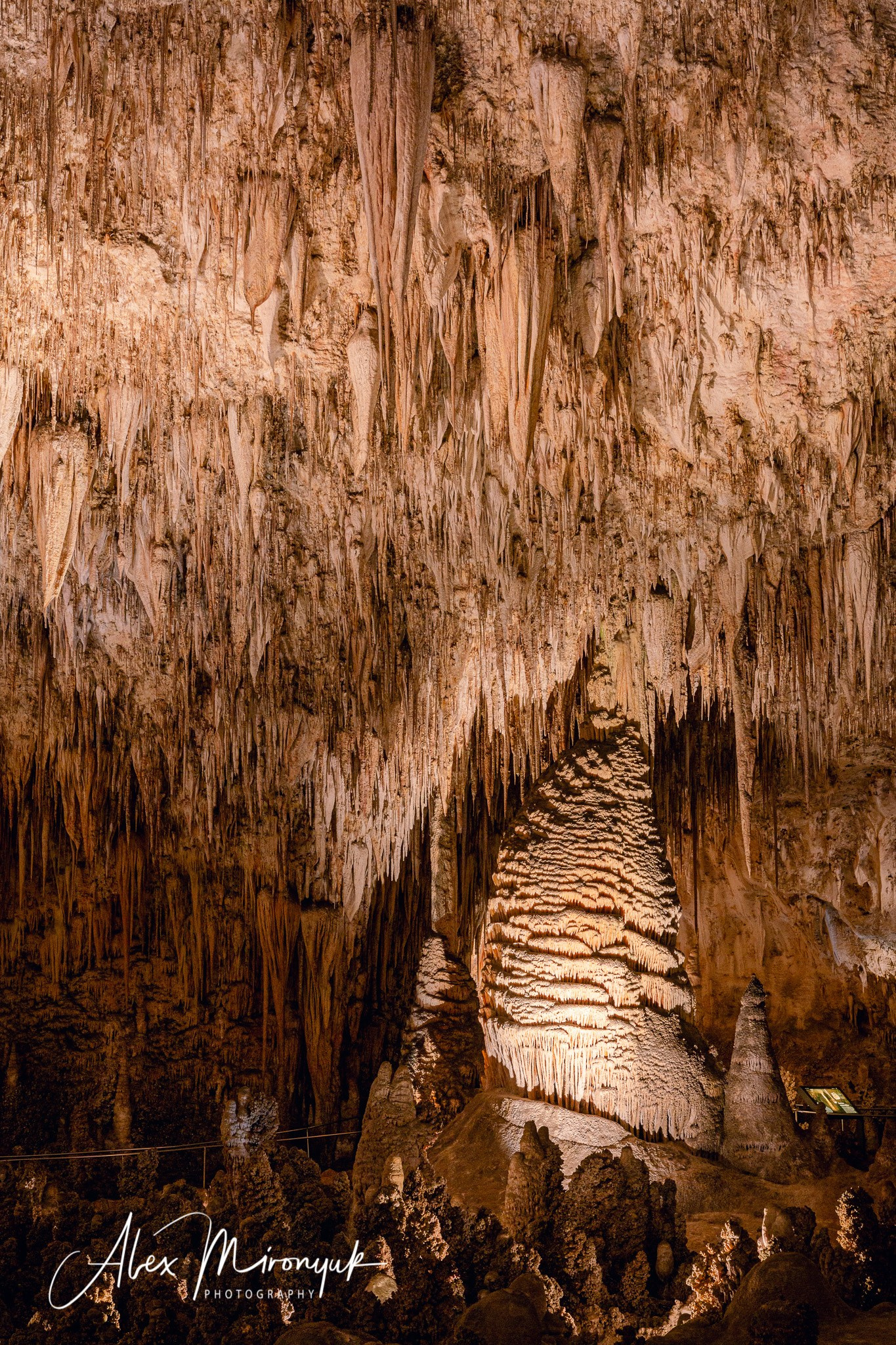 The Best of New Mexico. Pet, Senior, Landscape, portrait studio, photographer in Miami and Sou