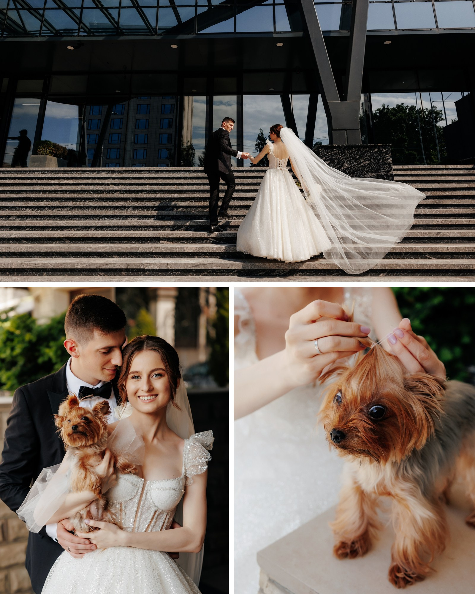 Galerie. Servicii Foto Video în Chișinău și Europa ID-Brothers