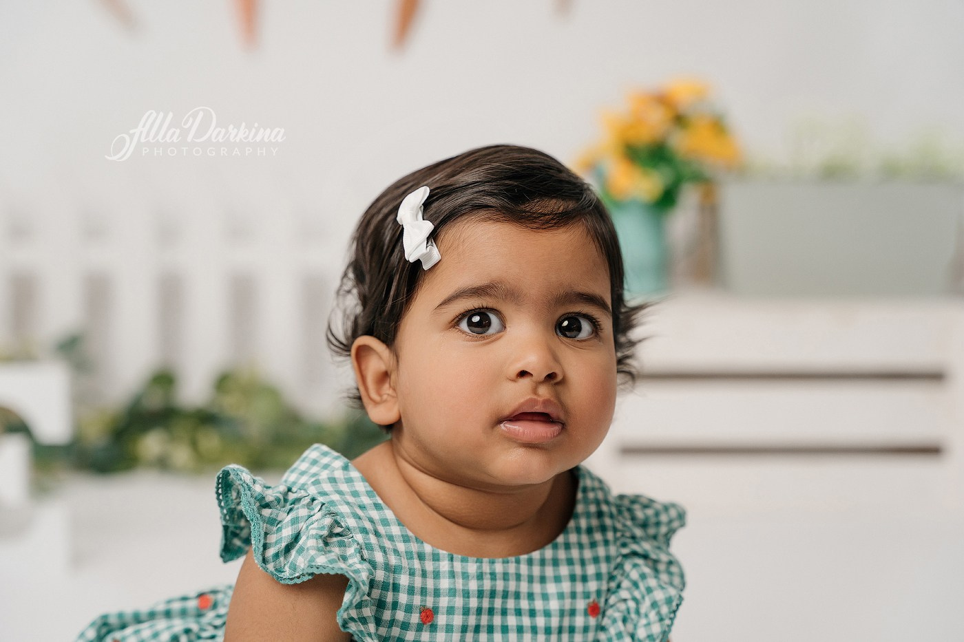 First birthday celebration. Newborn and family photographer. Hills District. Sydney