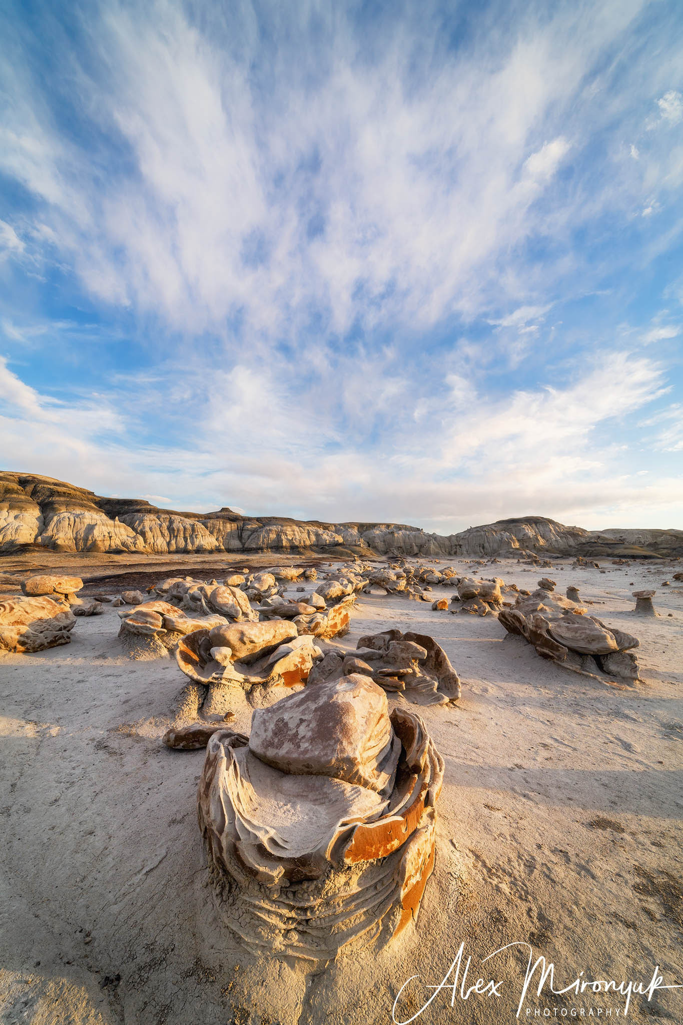 Badlands of New Mexico Unlimited. Pet, Senior, Landscape, portrait studio, photographer in Miami and Sou