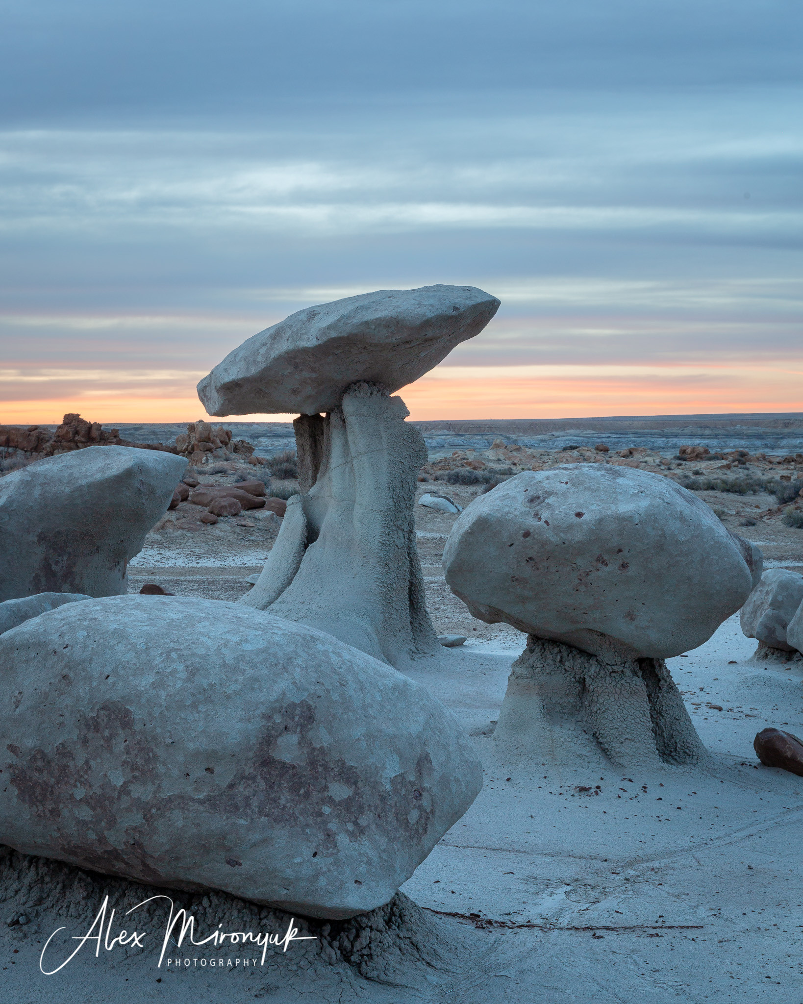 Badlands of New Mexico Unlimited. Pet, Senior, Landscape, portrait studio, photographer in Miami and Sou