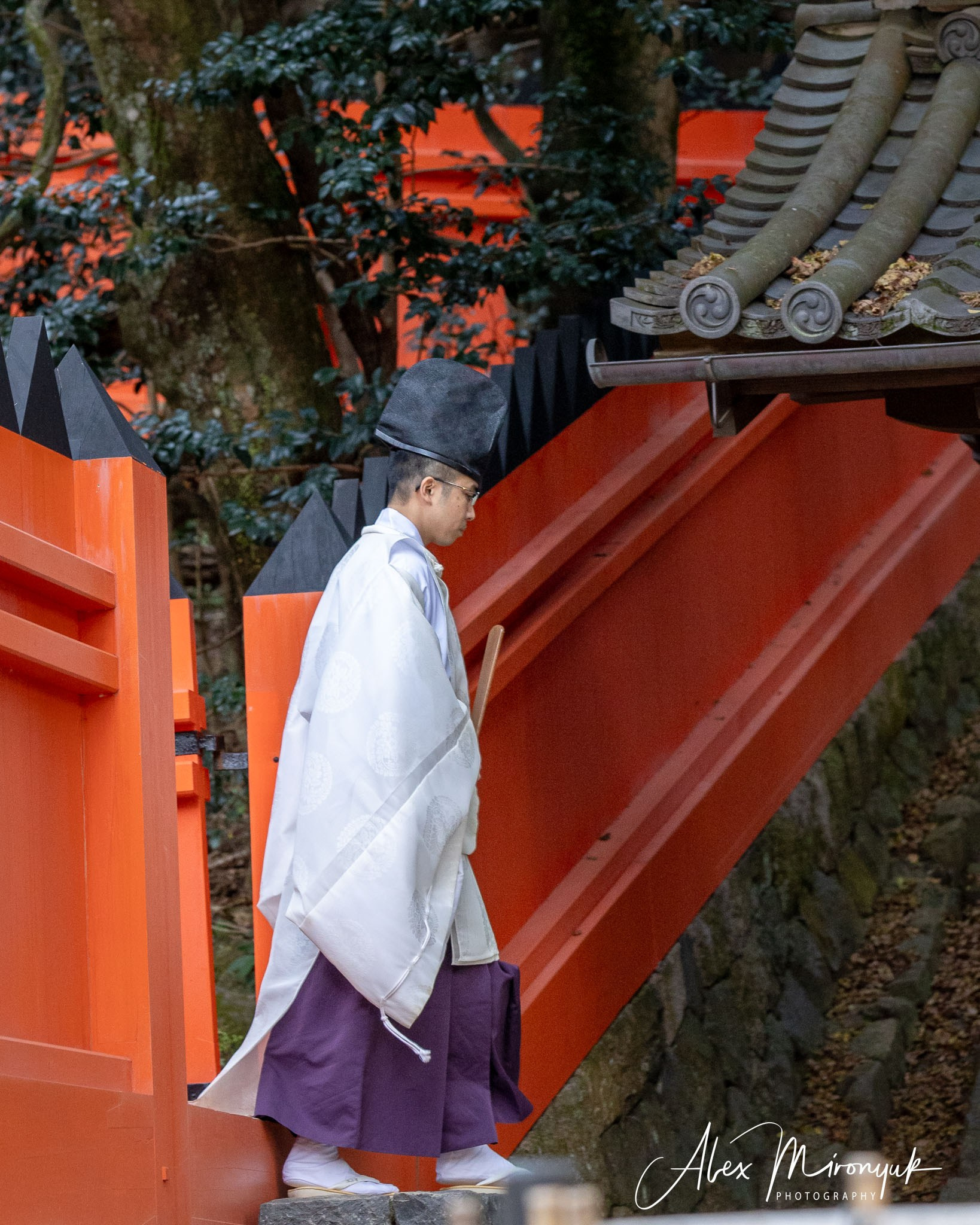 Autumn Colors of Japan. Pet, Senior, Landscape, portrait studio, photographer in Miami and Sou