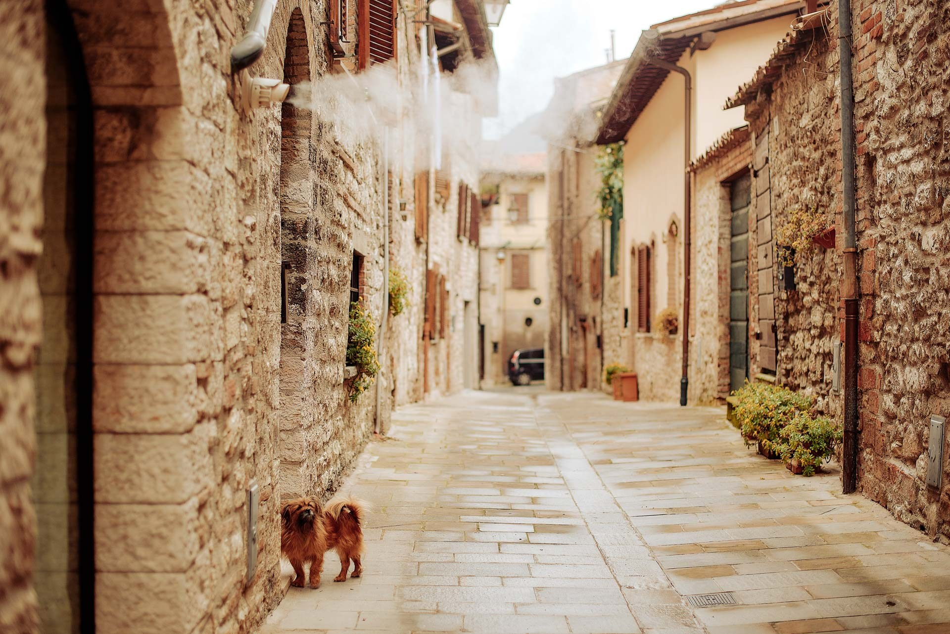 Gubbio, Italy Travel Photography