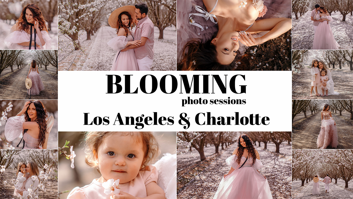 Wedding, maternity and family photographer in Charlotte Tasha Minn