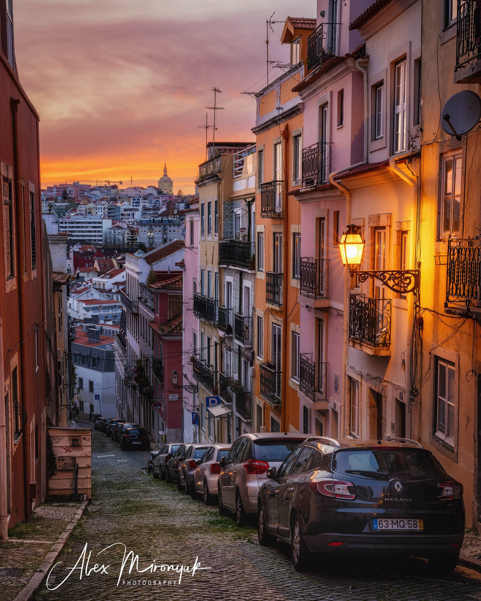 Portugal’s Scenic Treasures. Pet, Senior, Landscape, portrait studio, photographer in Miami and Sou