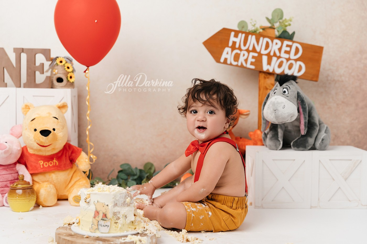 Winnie The Pooh cake smash session. Newborn and family photographer. Hills District. Sydney