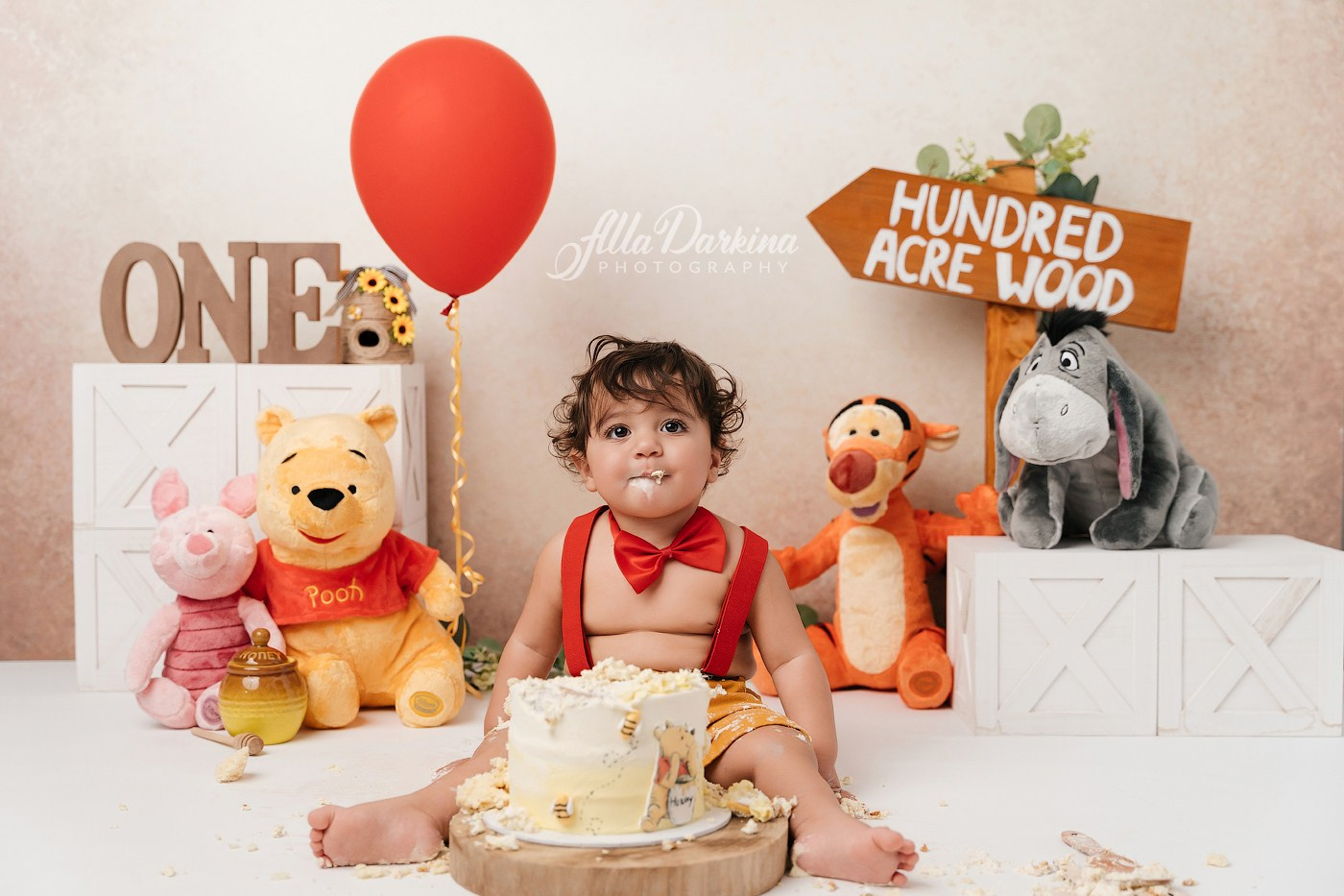 Winnie The Pooh cake smash session. Newborn and family photographer. Hills District. Sydney