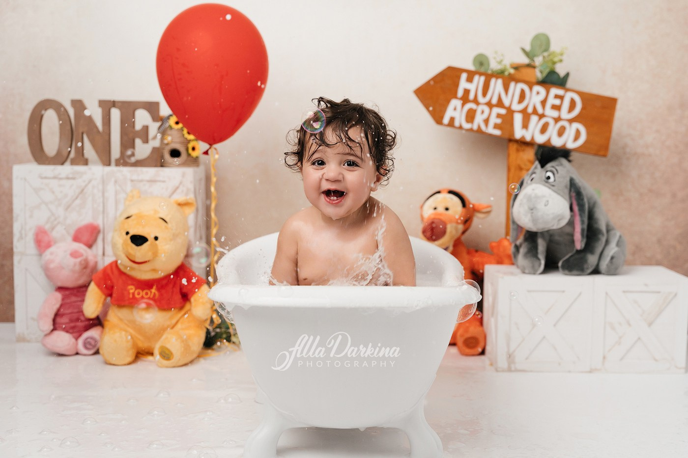 Winnie The Pooh cake smash session. Newborn and family photographer. Hills District. Sydney