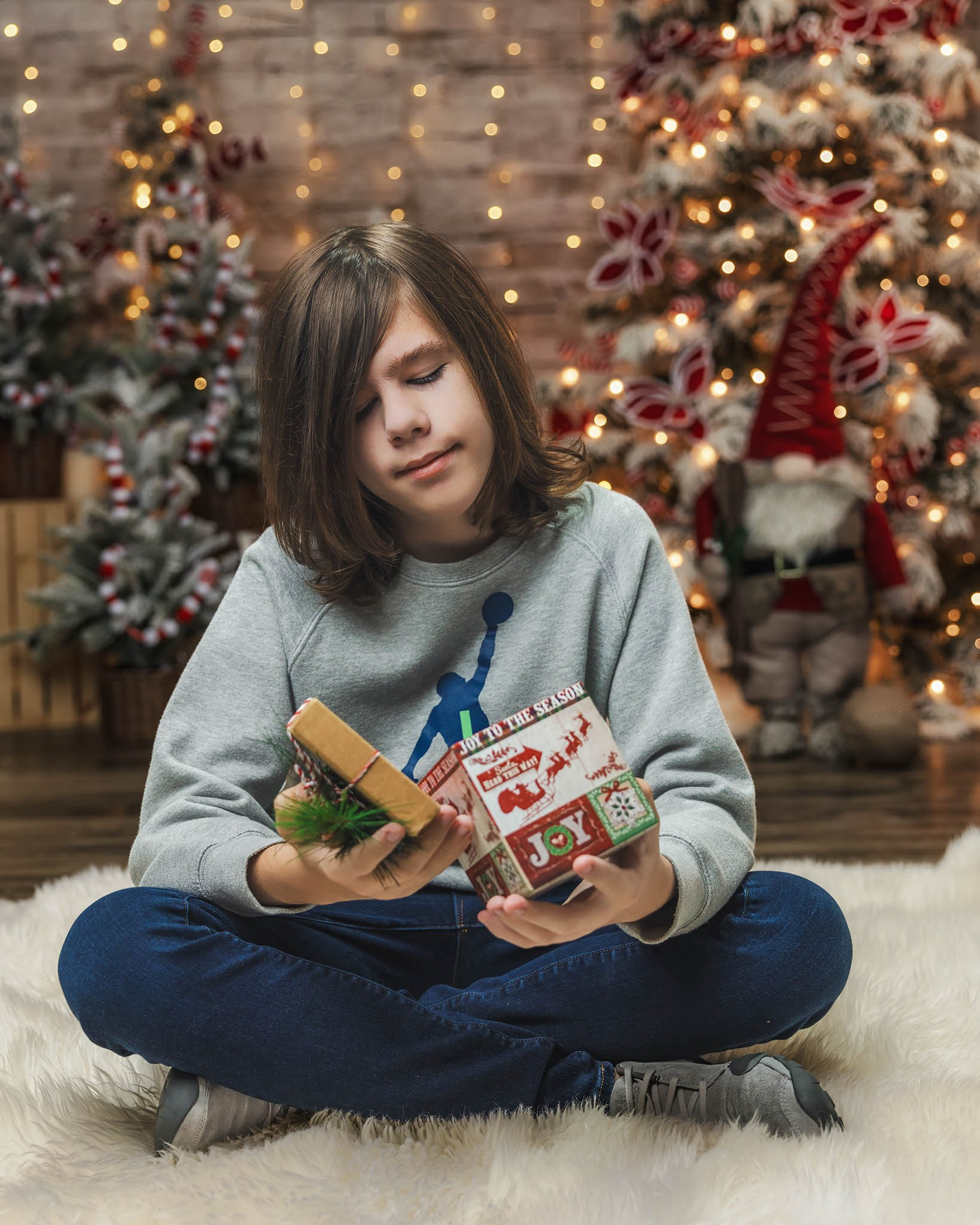 Winter Holiday Mini Sessions. Pet, Senior, Landscape, portrait studio, photographer in Miami and Sou