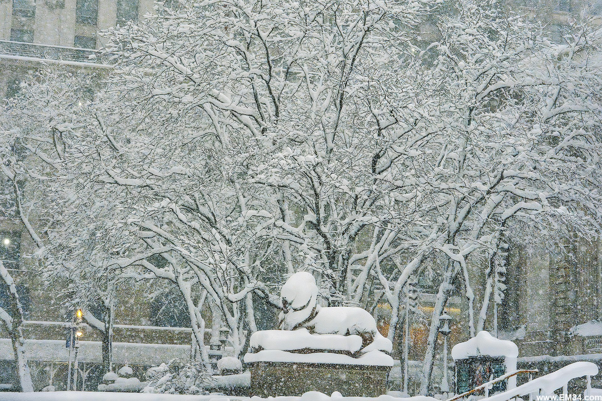 Blizzard in Manhattan, New York — two days ago. After 25 years here I braved the freezing storm to capture fairy-tale snow at iconic spots. Emin Kuliyev — Award-Winning Wedding Photojournalist NYC & USA | Best Wedding Photographer Known for Candid, Timeless Moments