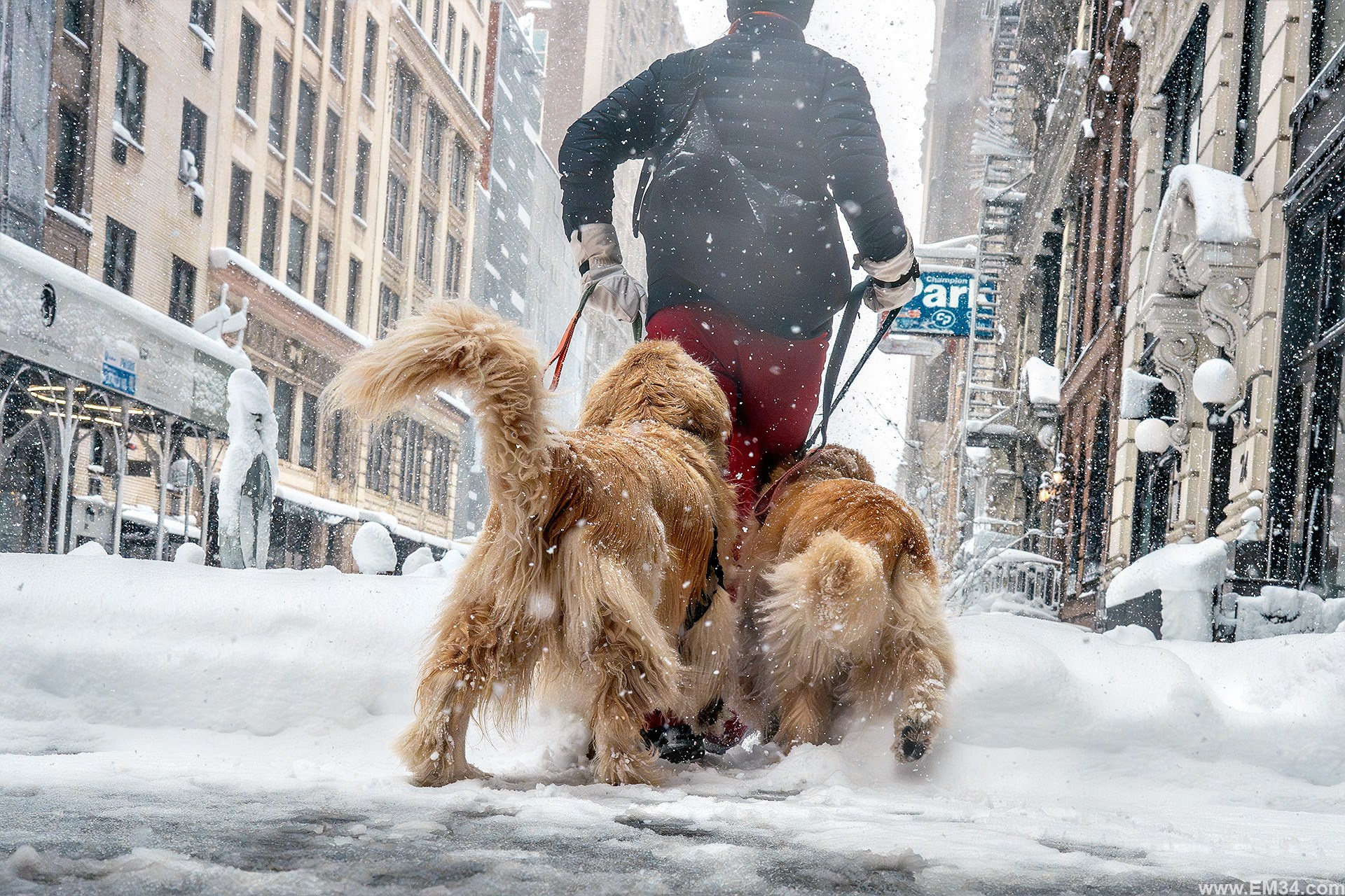 Blizzard in Manhattan, New York — two days ago. After 25 years here I braved the freezing storm to capture fairy-tale snow at iconic spots. Emin Kuliyev — Award-Winning Wedding Photojournalist NYC & USA | Best Wedding Photographer Known for Candid, Timeless Moments