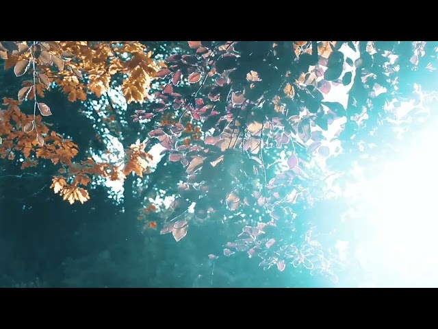 Philosophy of Timeless Unity. Natalja Poplavska — Visual artist, Photographer, East Sussex, London