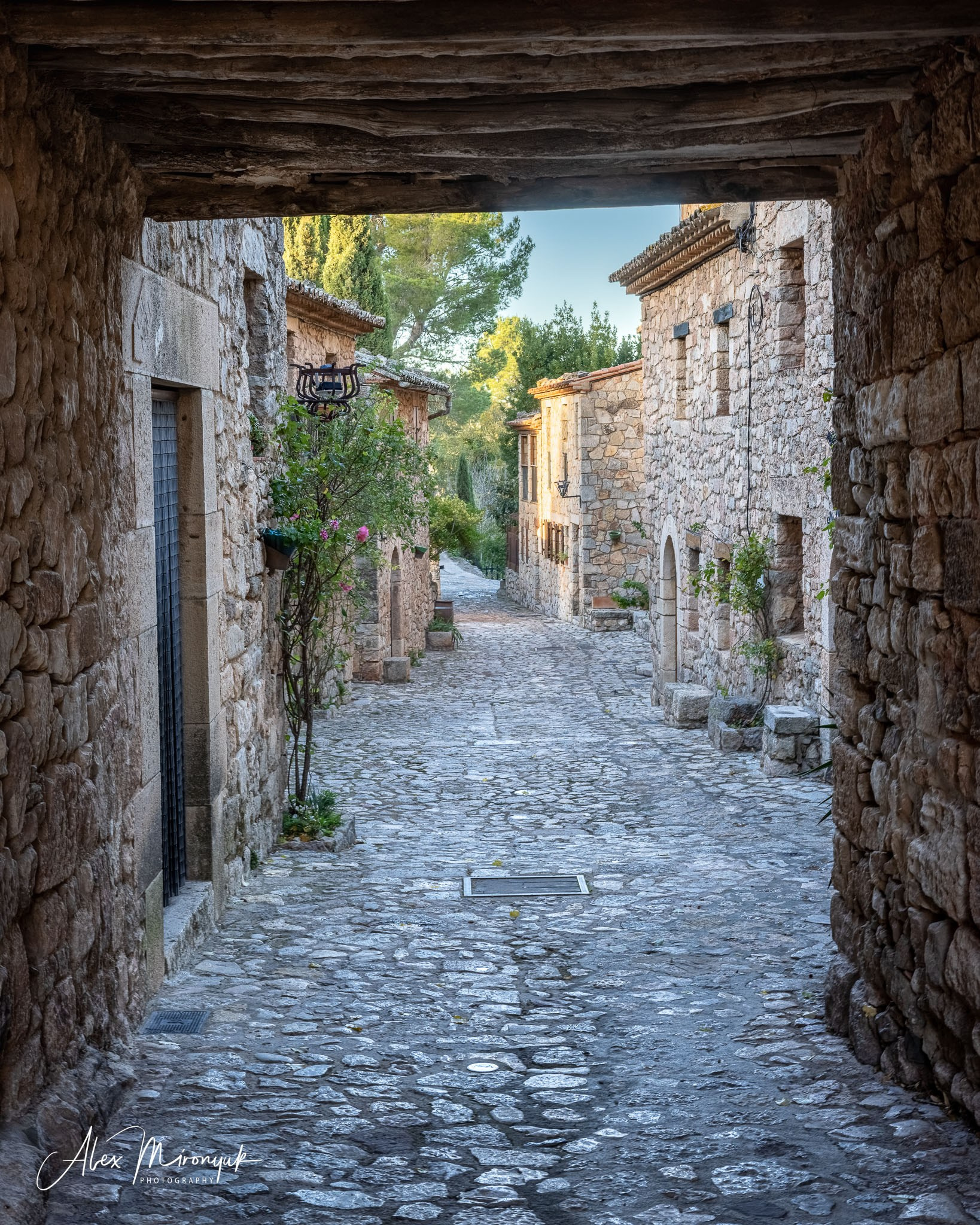 Catalonian Medieval Castles. Pet, Senior, Landscape, portrait studio, photographer in Miami and Sou