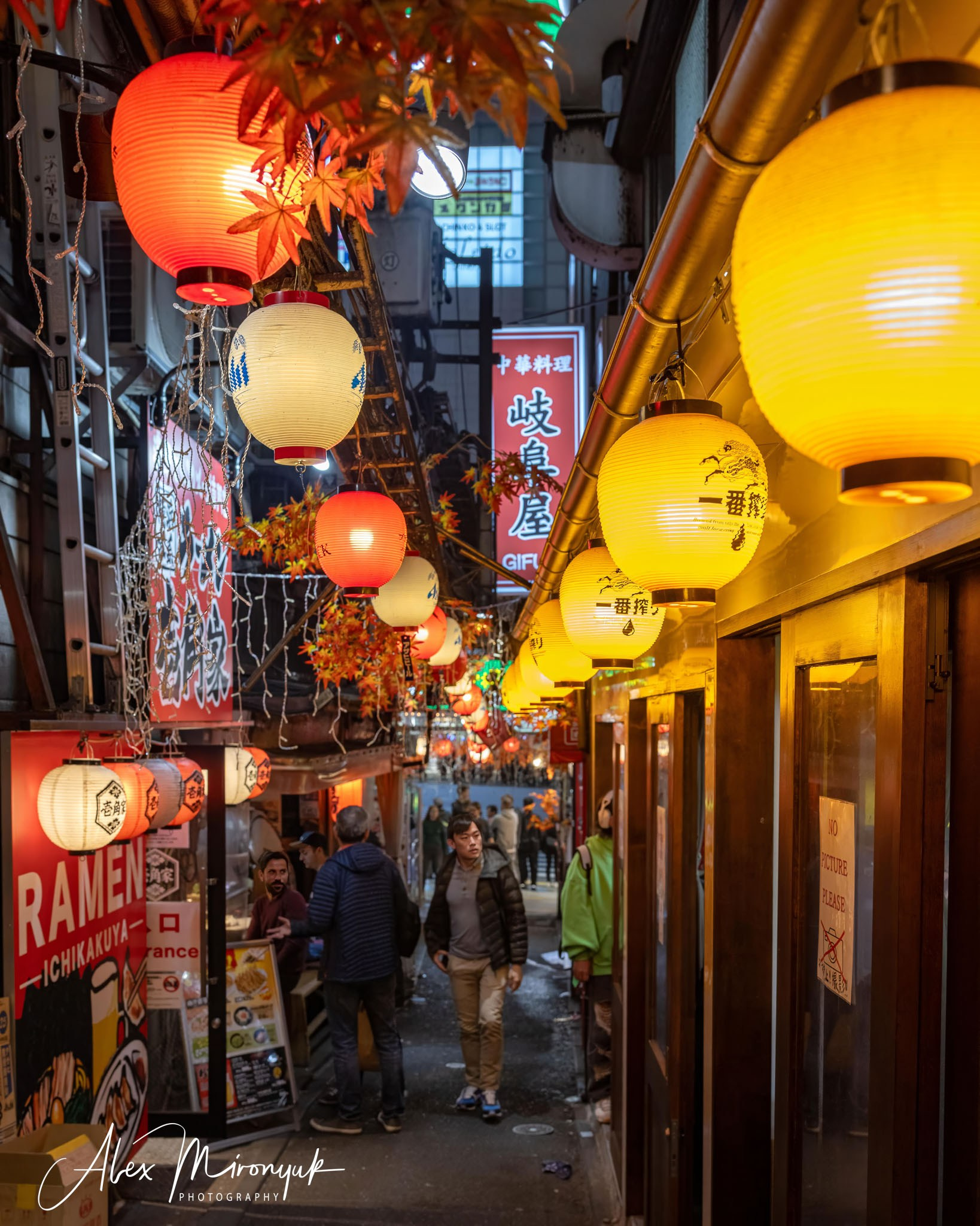 Autumn Colors of Japan. Pet, Senior, Landscape, portrait studio, photographer in Miami and Sou