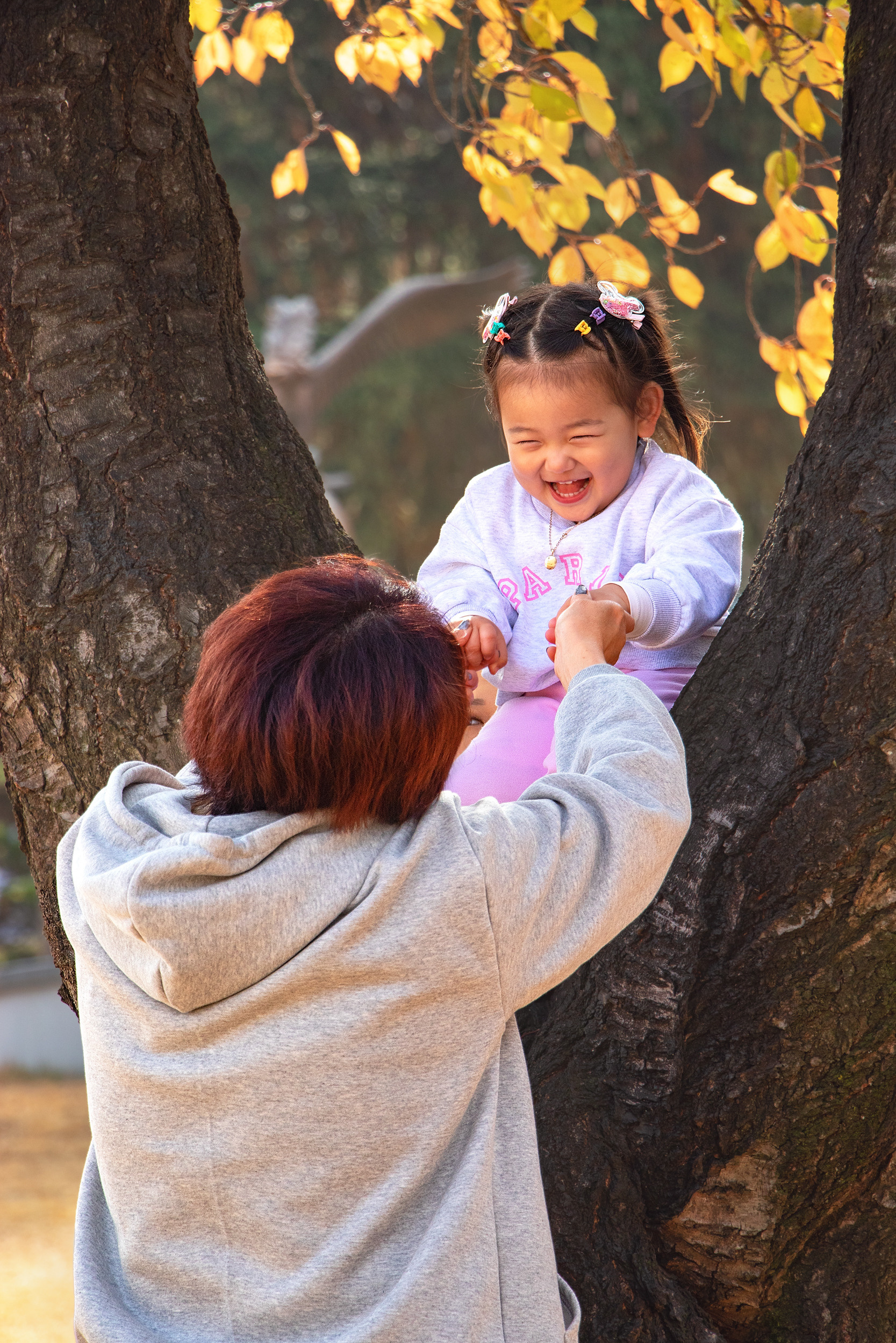 Семейный, свадебный и асянди фотограф в Южной Корее Ким Гым Дори