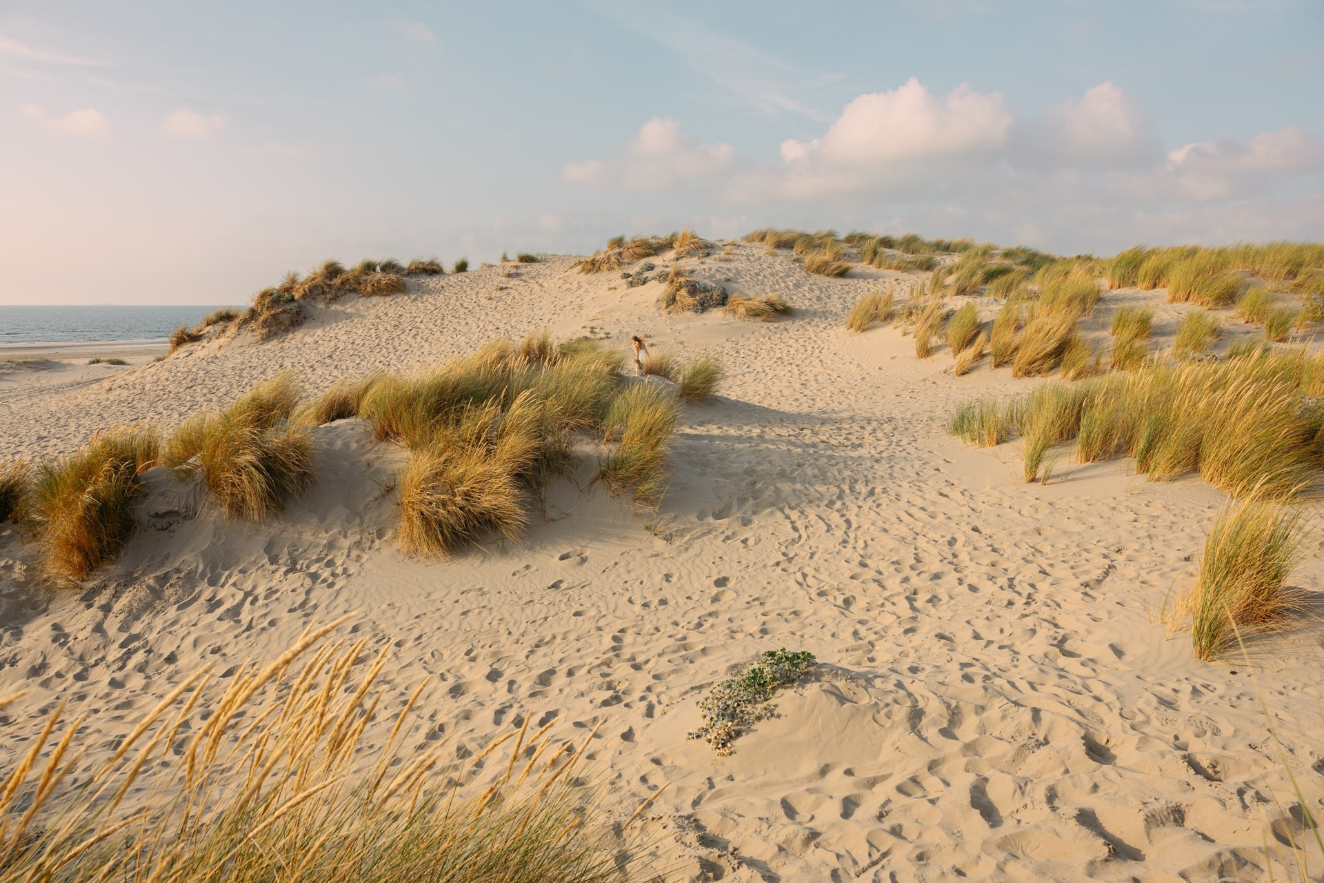 Mother & Daughter Photoshoot in the Dunes — Hoek van Holland. Romantic & Soulful Photography by Natalia Olhova in Rotterdam