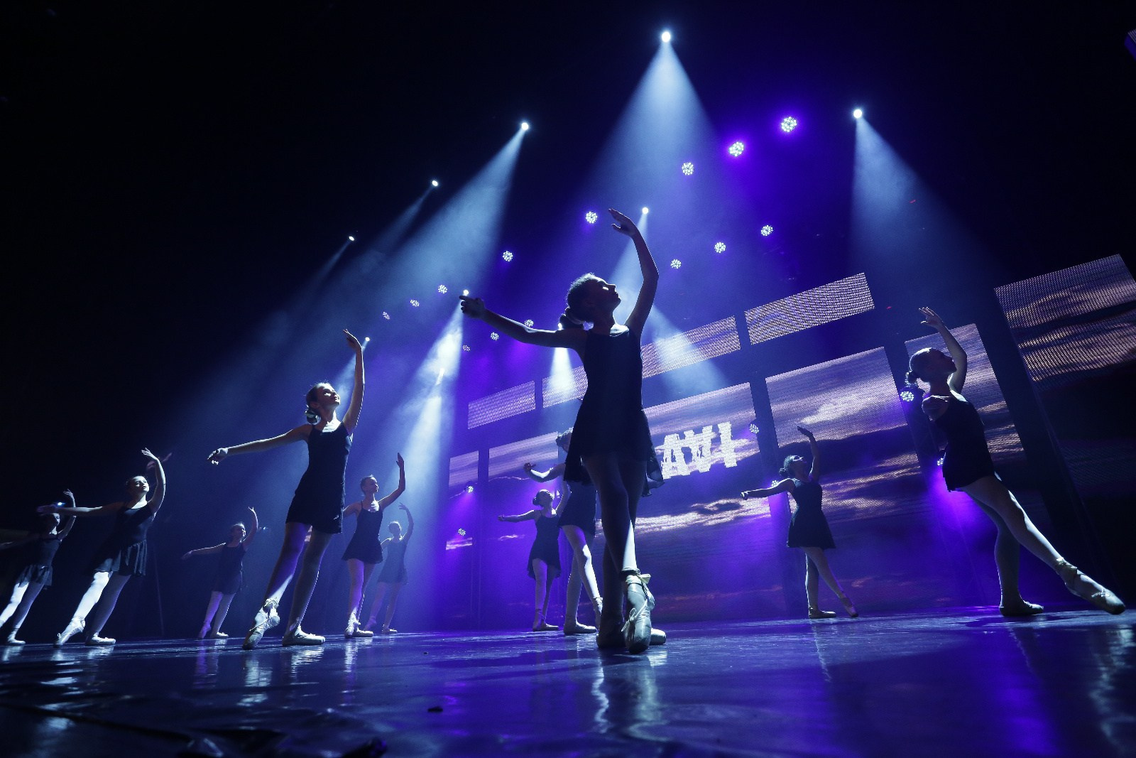 Paul Styler Photography | Turning Moments into Masterpieces