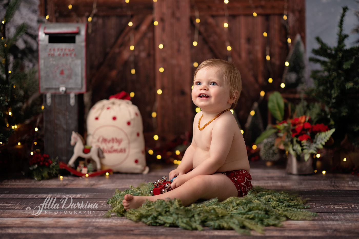 Christmas mini sessions 2025| Sydney. Newborn and family photographer. Hills District. Sydney