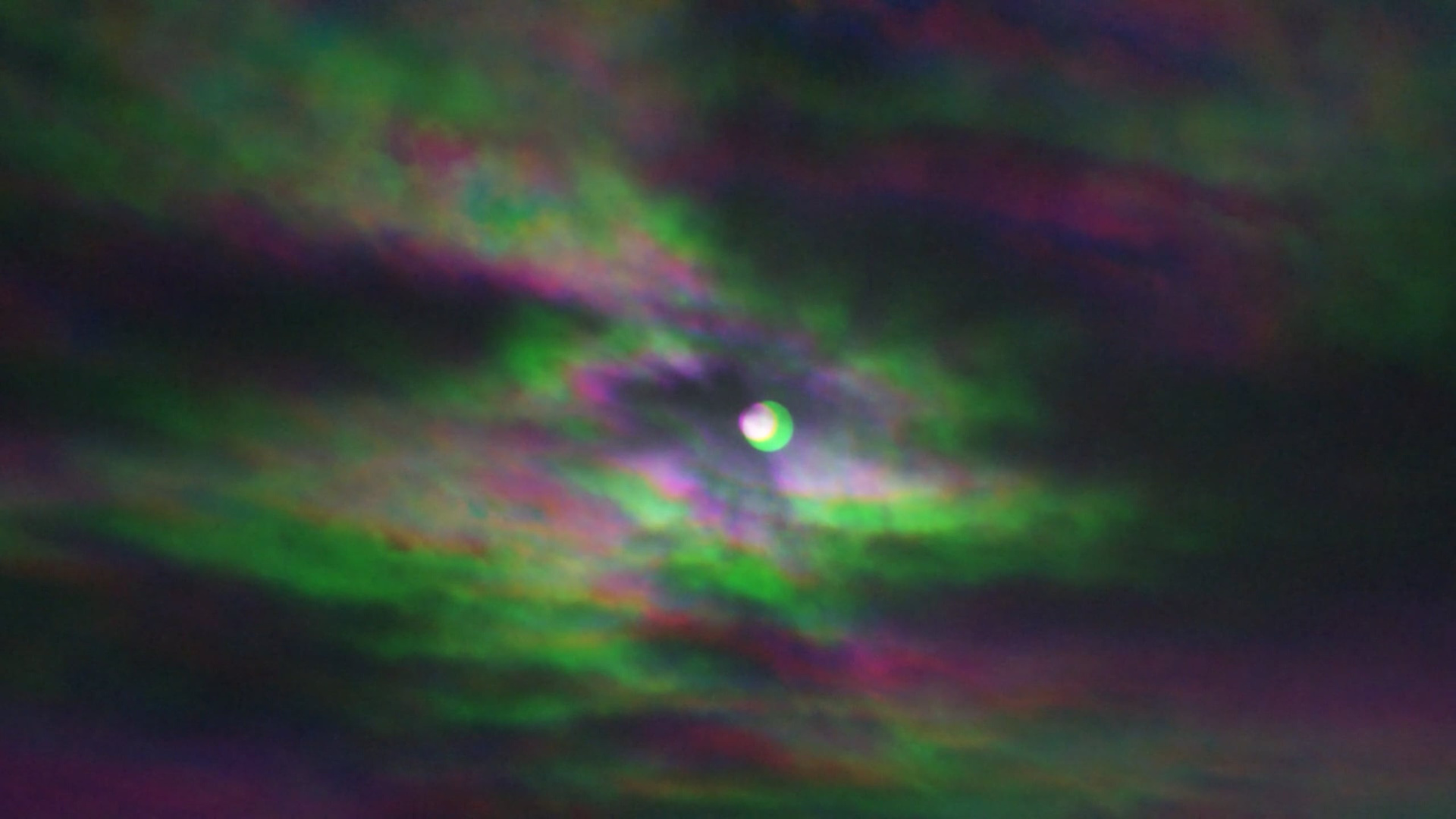 Ecology of consciousness. Singularity Film