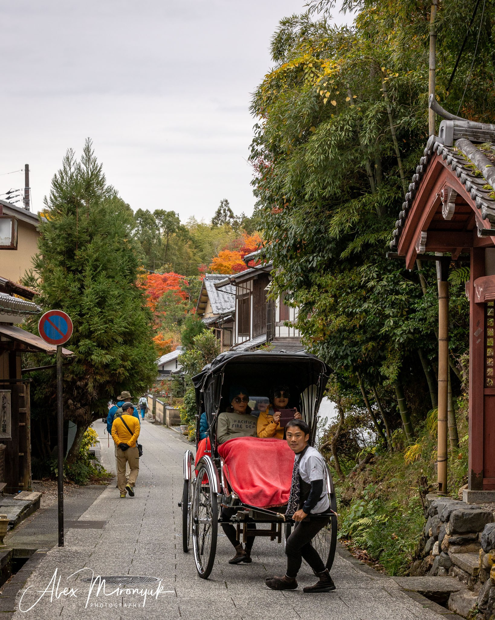 Autumn Colors of Japan. Pet, Senior, Landscape, portrait studio, photographer in Miami and Sou