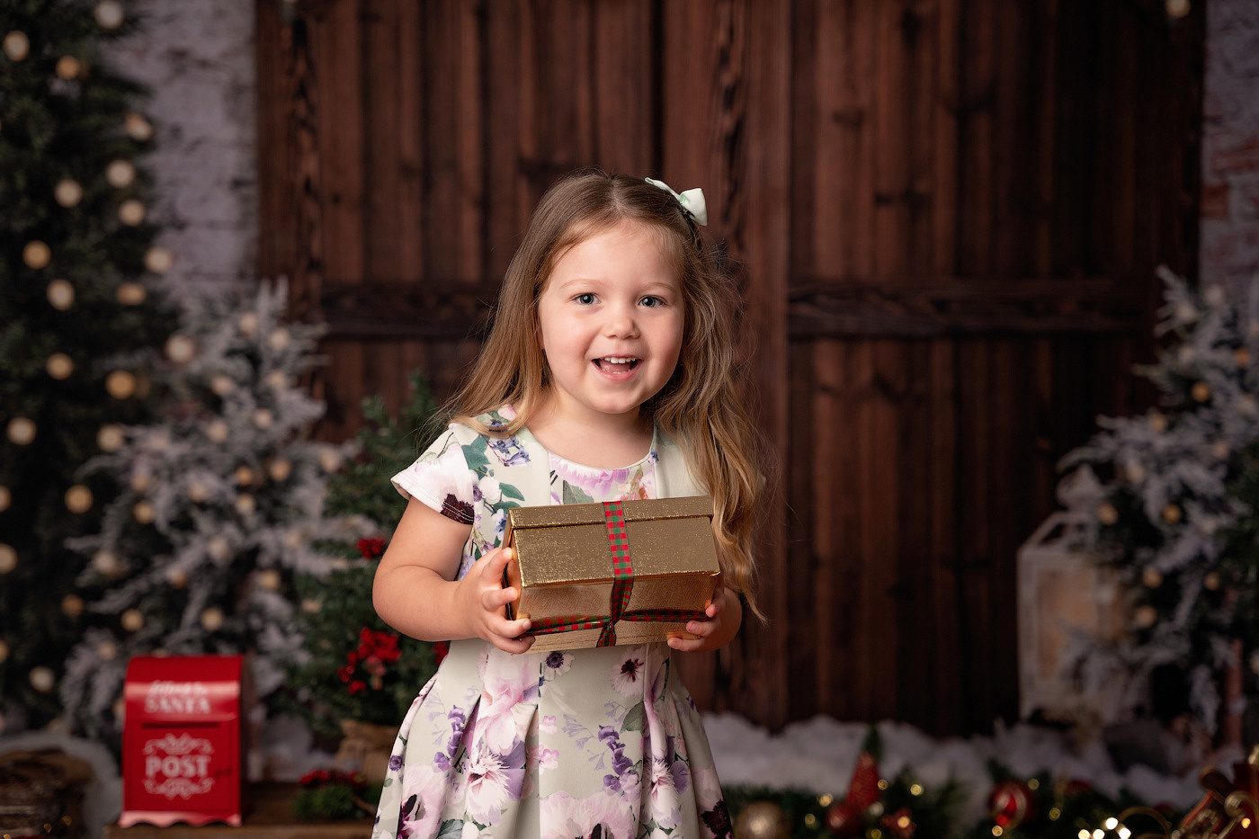 Christmas mini sessions 2025| Sydney. Newborn and family photographer. Hills District. Sydney