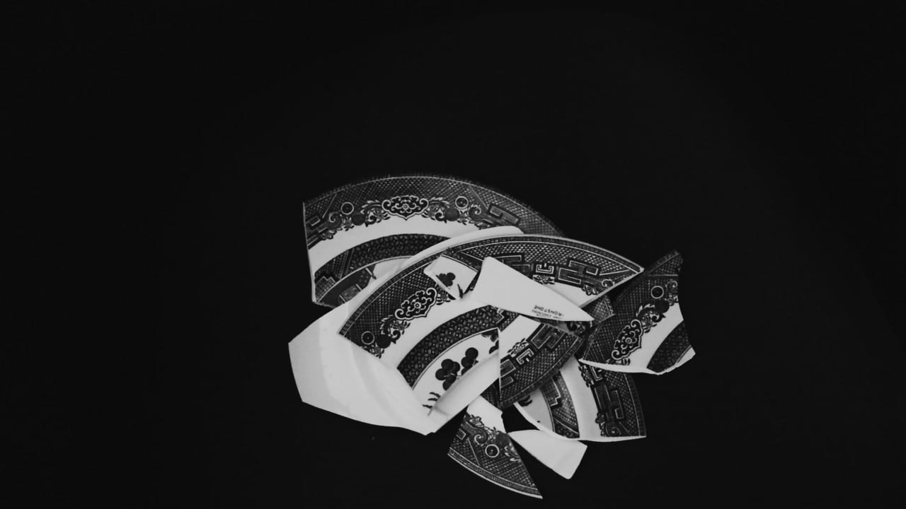 Муха в янтаре. Sveta Kaverina