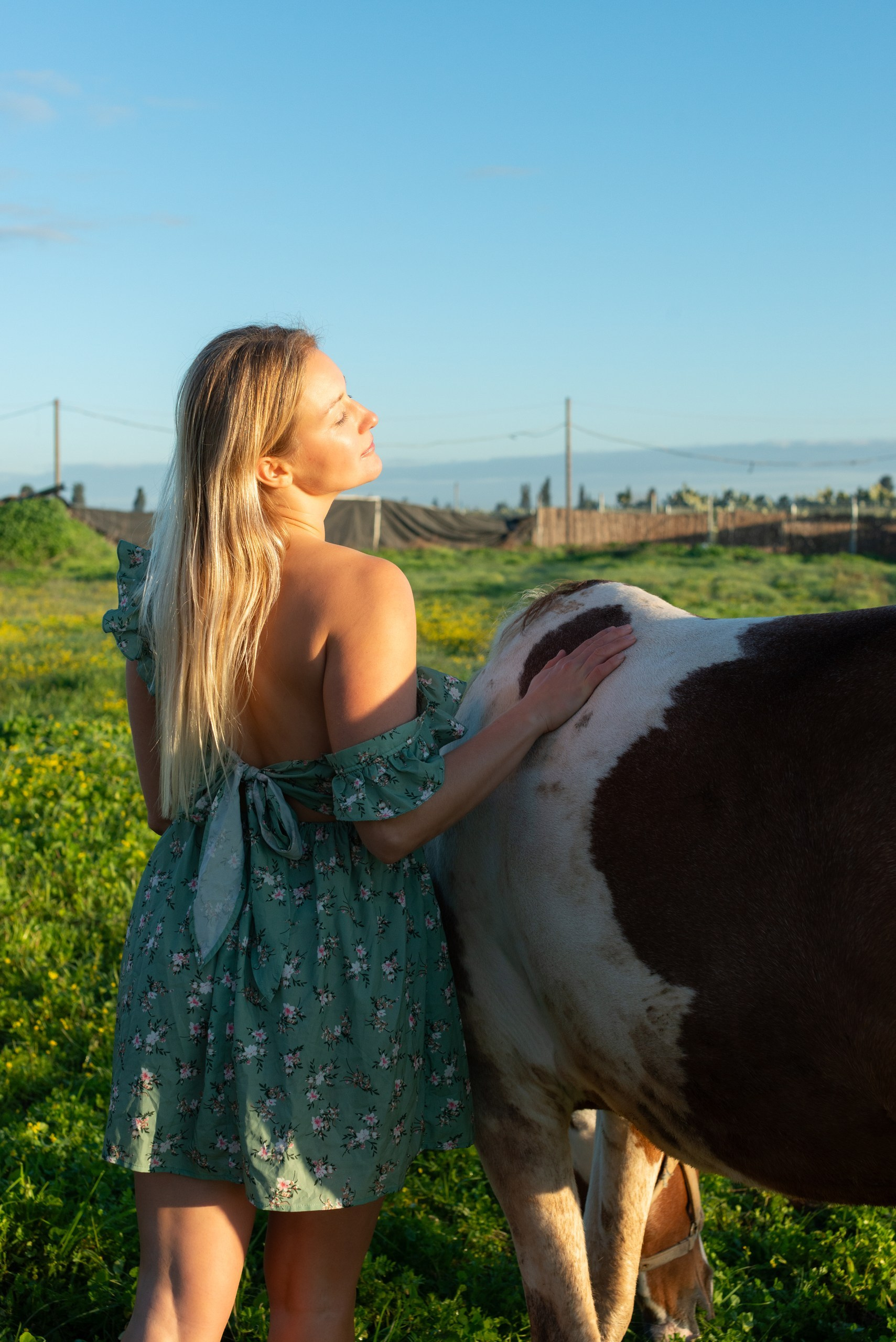 Golden hour at Rio’s ranch. Dina Solomina | Photographer in Israel