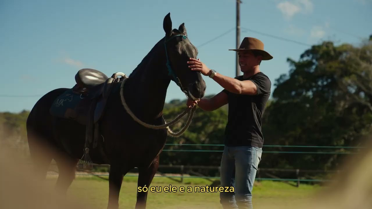 Institucionais. Início