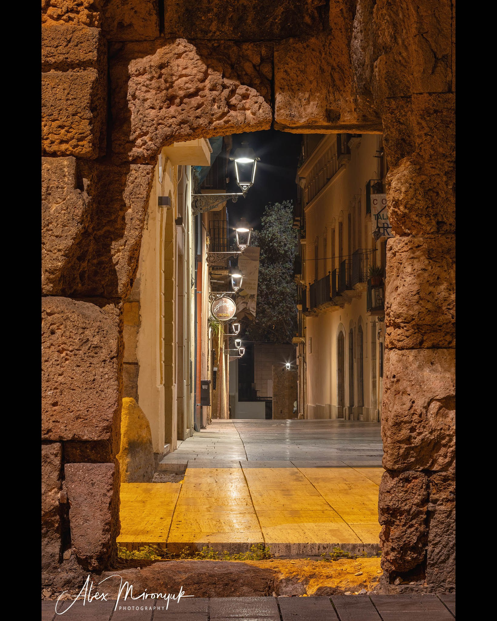 Catalonian Medieval Castles. Pet, Senior, Landscape, portrait studio, photographer in Miami and Sou