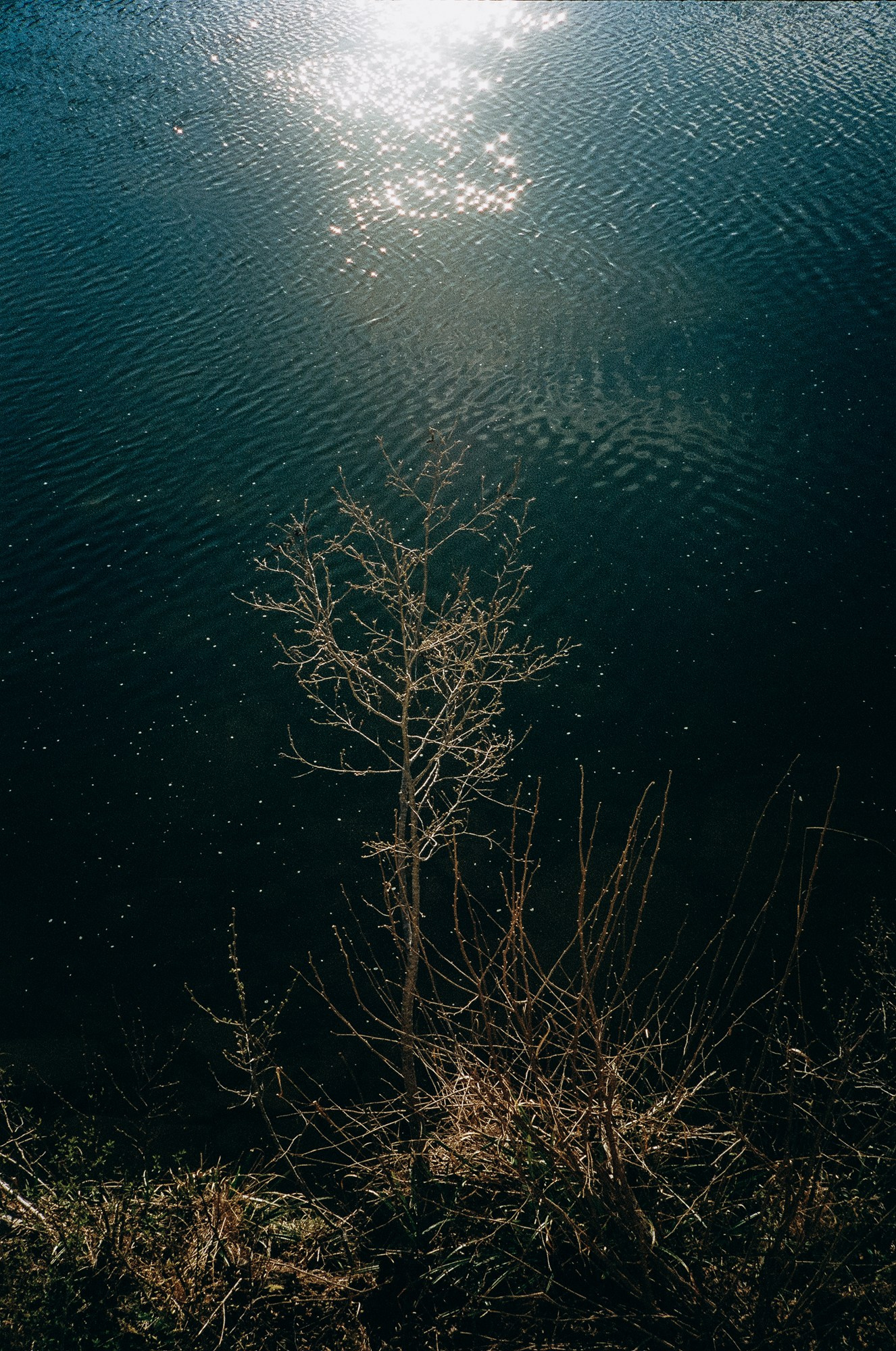 Projects. Photographer and visual artist Irina Vovk