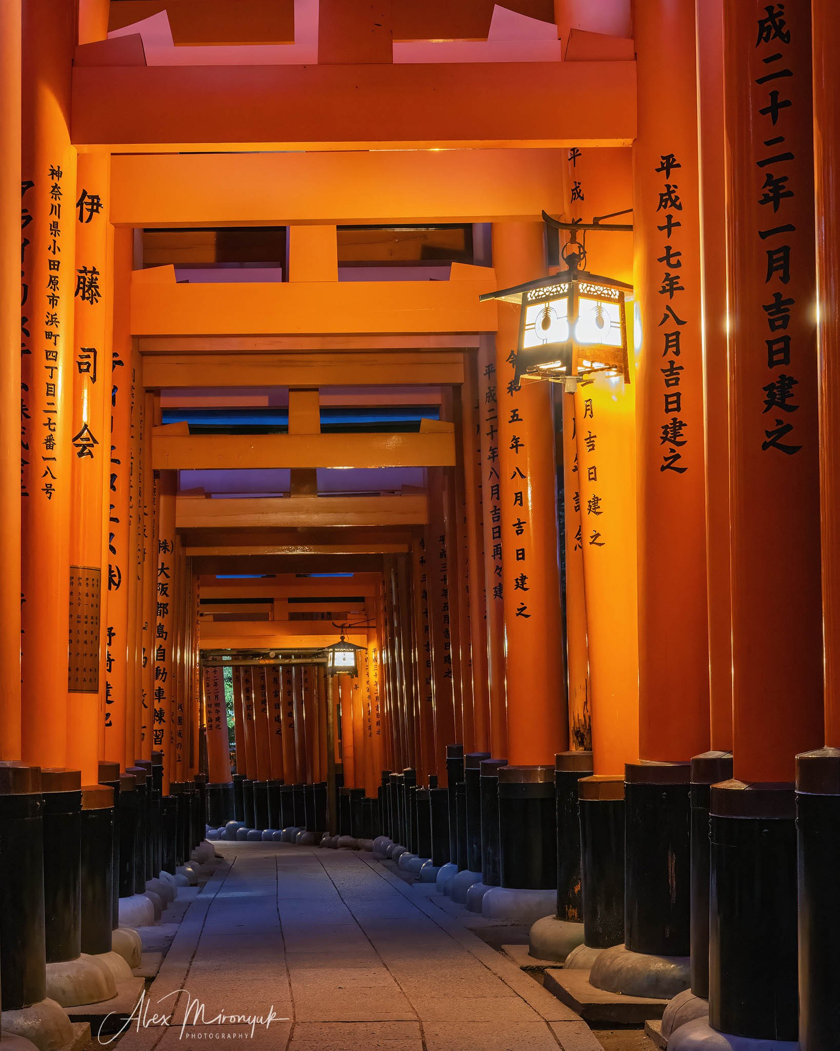 Autumn Colors of Japan. Pet, Senior, Landscape, portrait studio, photographer in Miami and Sou