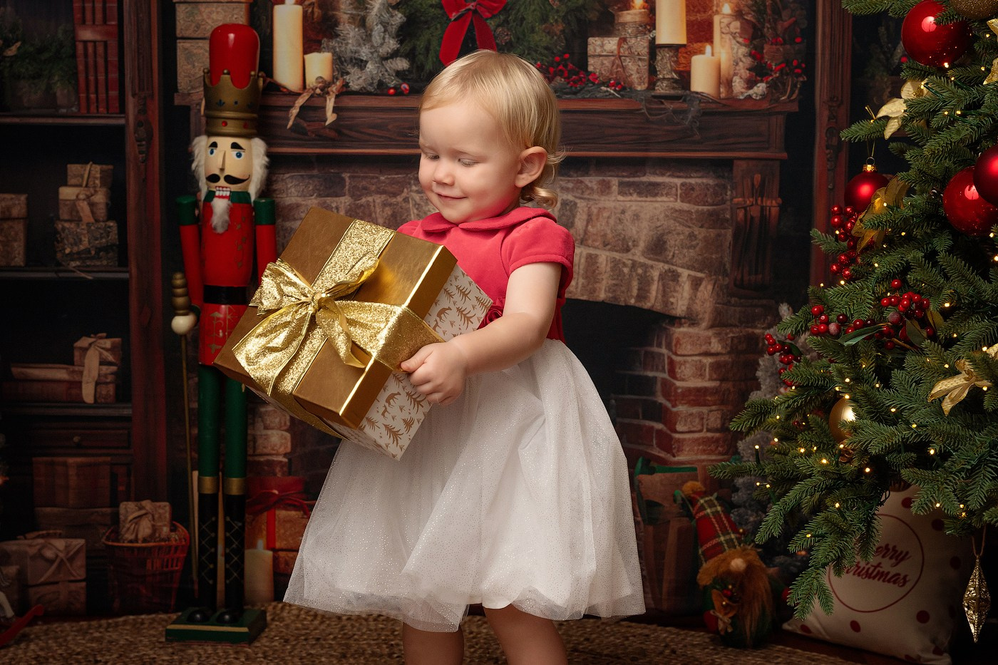 Christmas mini sessions 2025| Sydney. Newborn and family photographer. Hills District. Sydney
