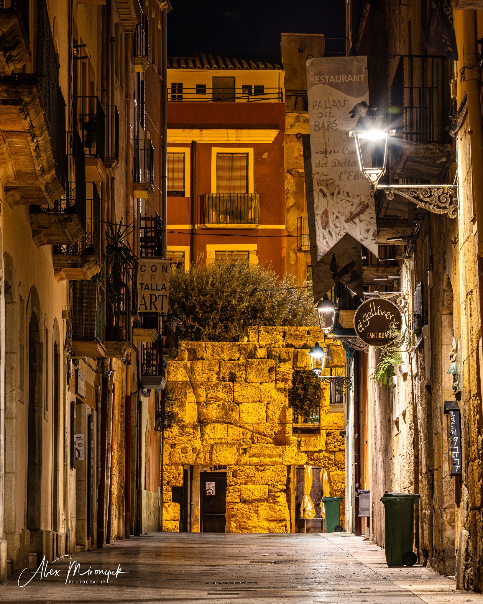 Catalonian Medieval Castles. Pet, Senior, Landscape, portrait studio, photographer in Miami and Sou