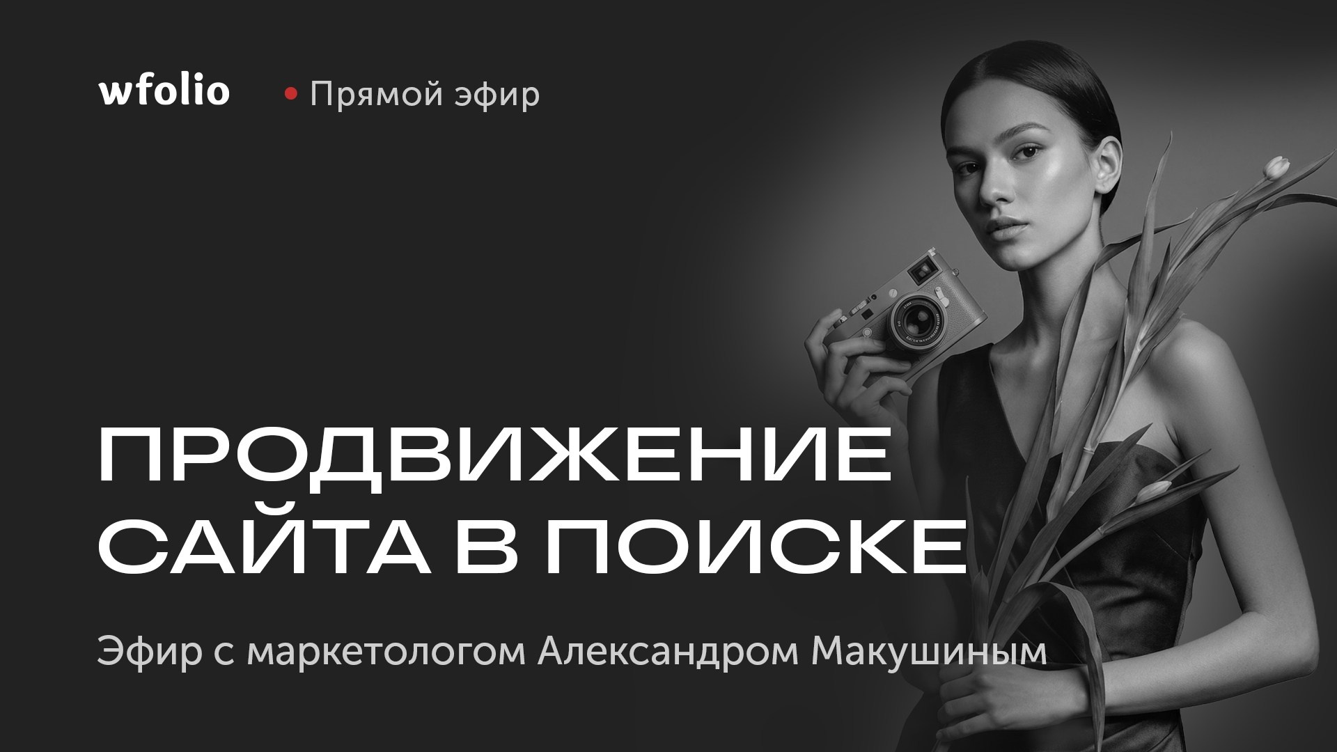 Прямой эфир про продвижение сайта в поиске. Wfolio — конструктор сайтов и облачный диск для фотографов