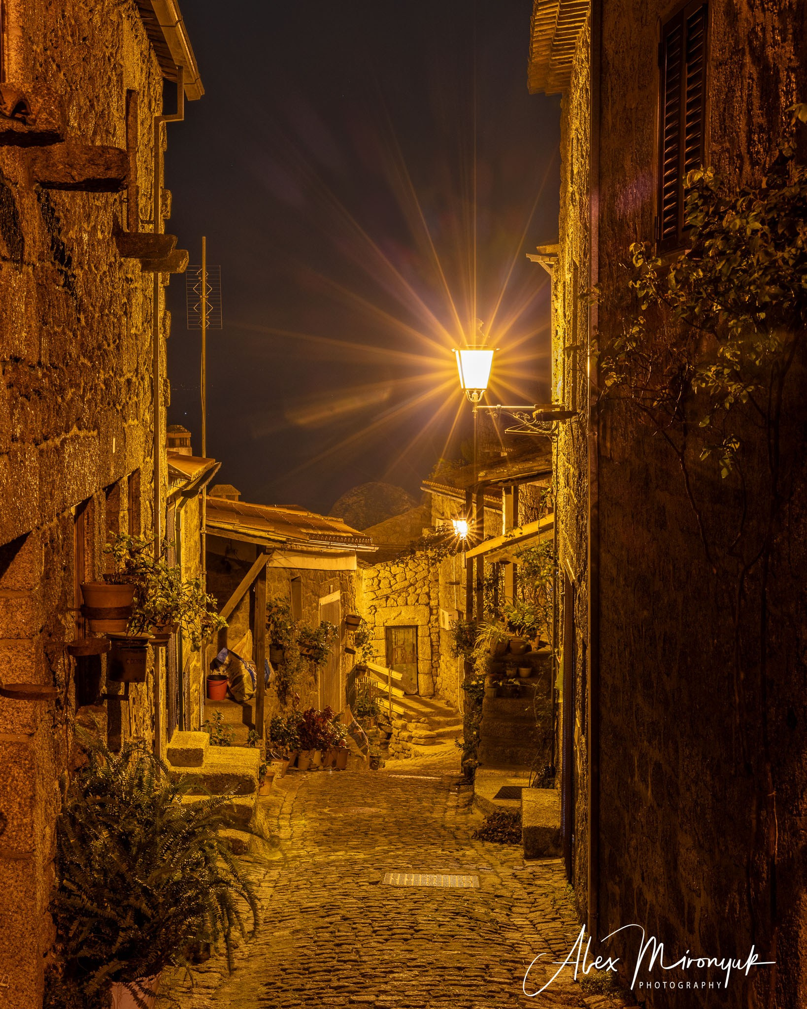 Portugal’s Scenic Treasures. Pet, Senior, Landscape, portrait studio, photographer in Miami and Sou