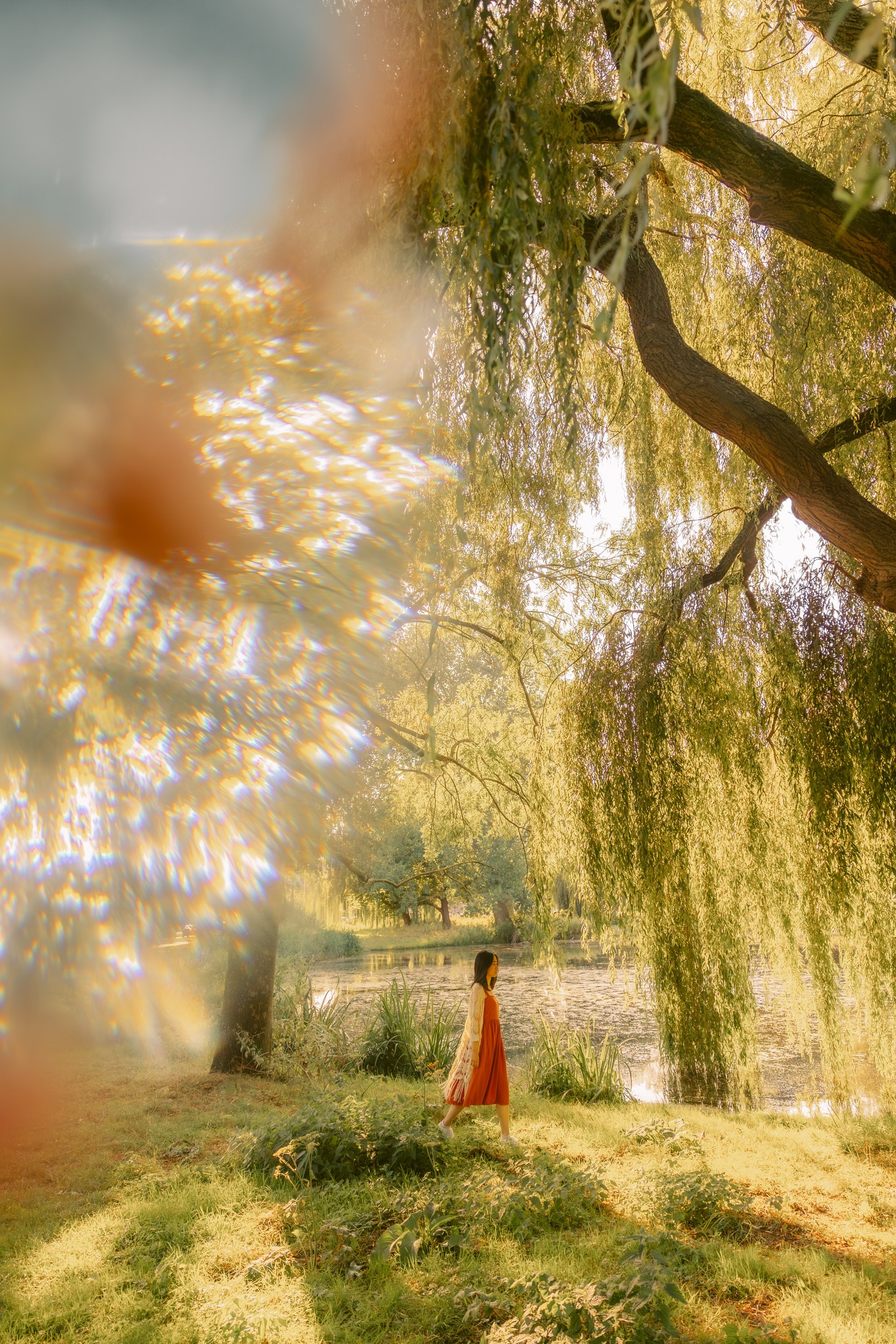 Red Dress Photoshoot in Kralingse Bos, Rotterdam — Portraits by the Lake. Romantic & Soulful Photography by Natalia Olhova in Rotterdam
