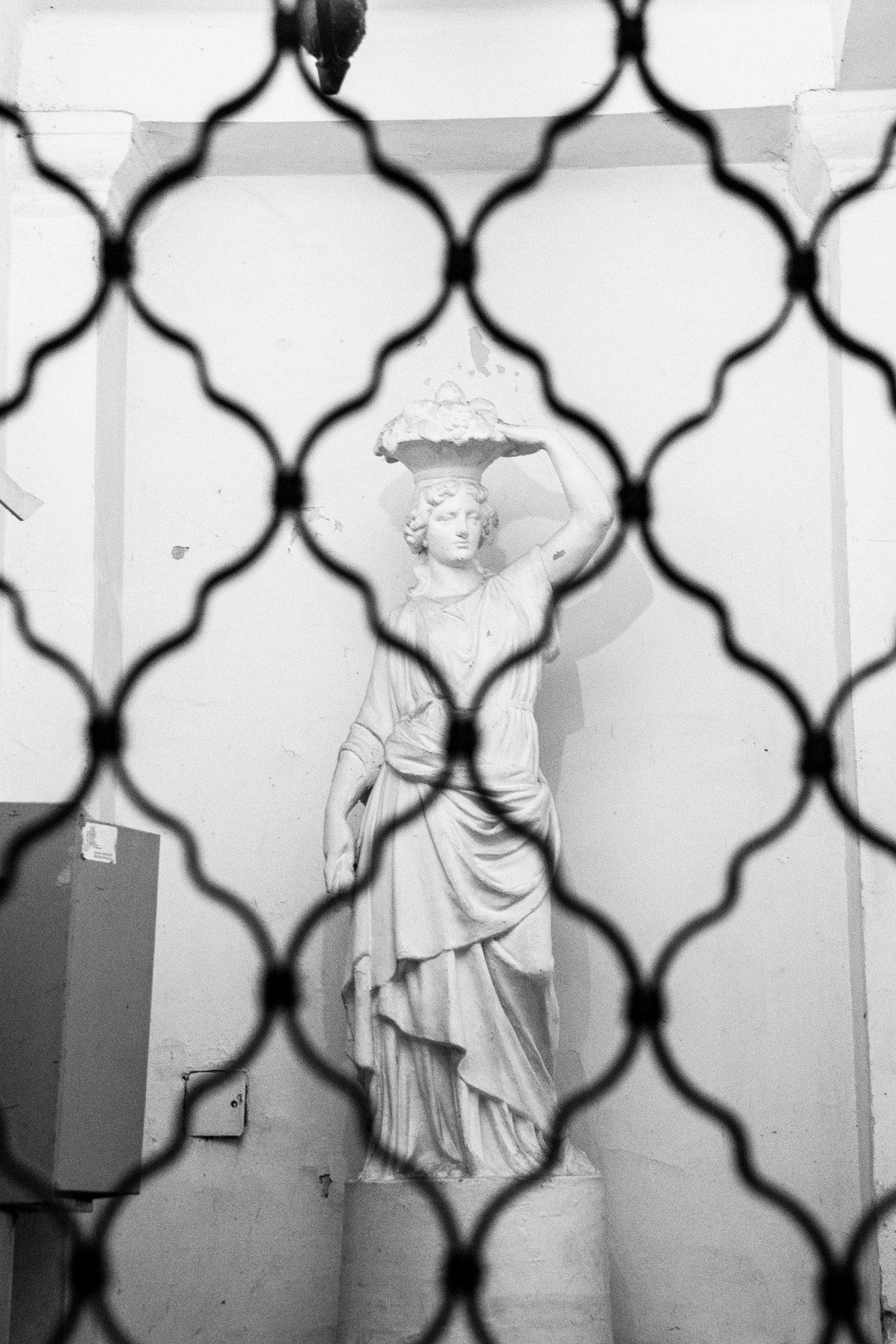Beauty behind bars | Budapest 2026 | CANON 6D