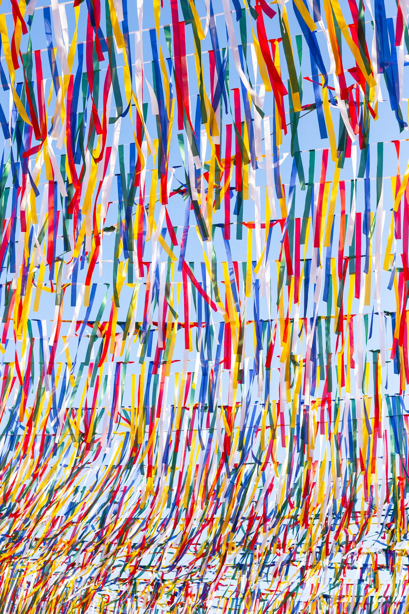 multicolored | Gdańsk 2026 | CANON 6D