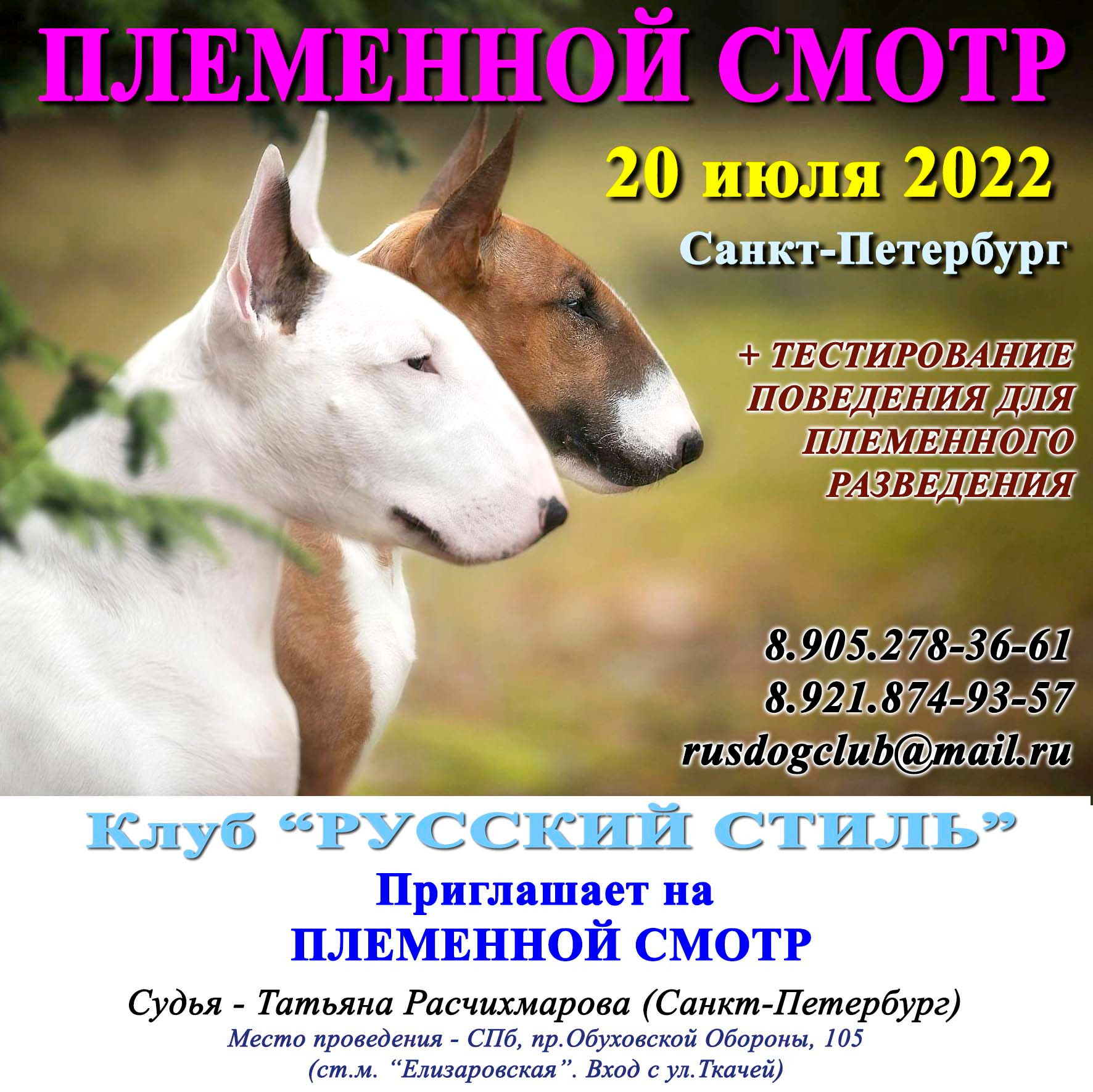 Племенной смотр 10.08.2022. Кинологический клуб РКФ РФСС СЕНСАЦИЯ