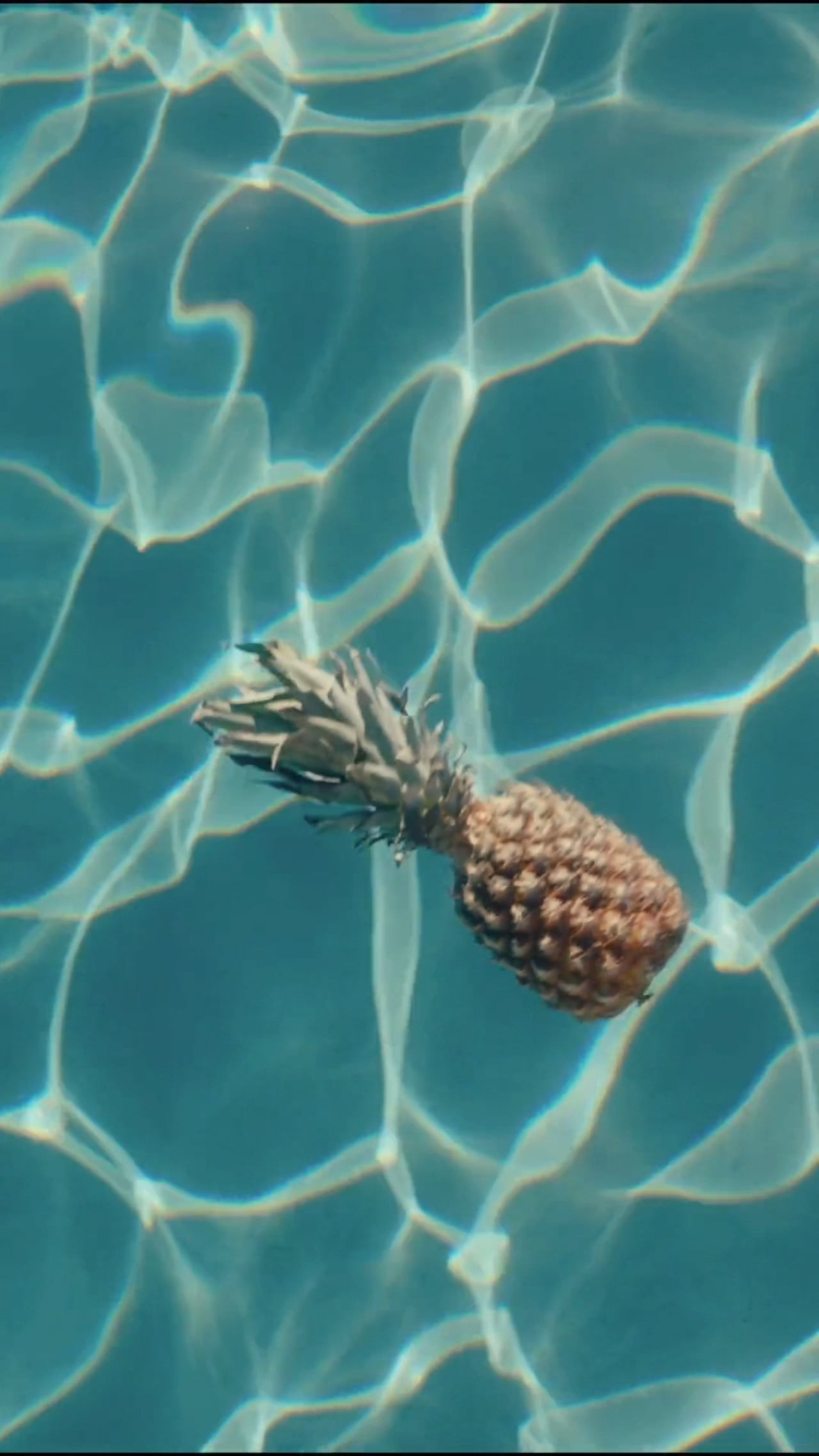 Film. Jasper Soloff. Director & Photographer