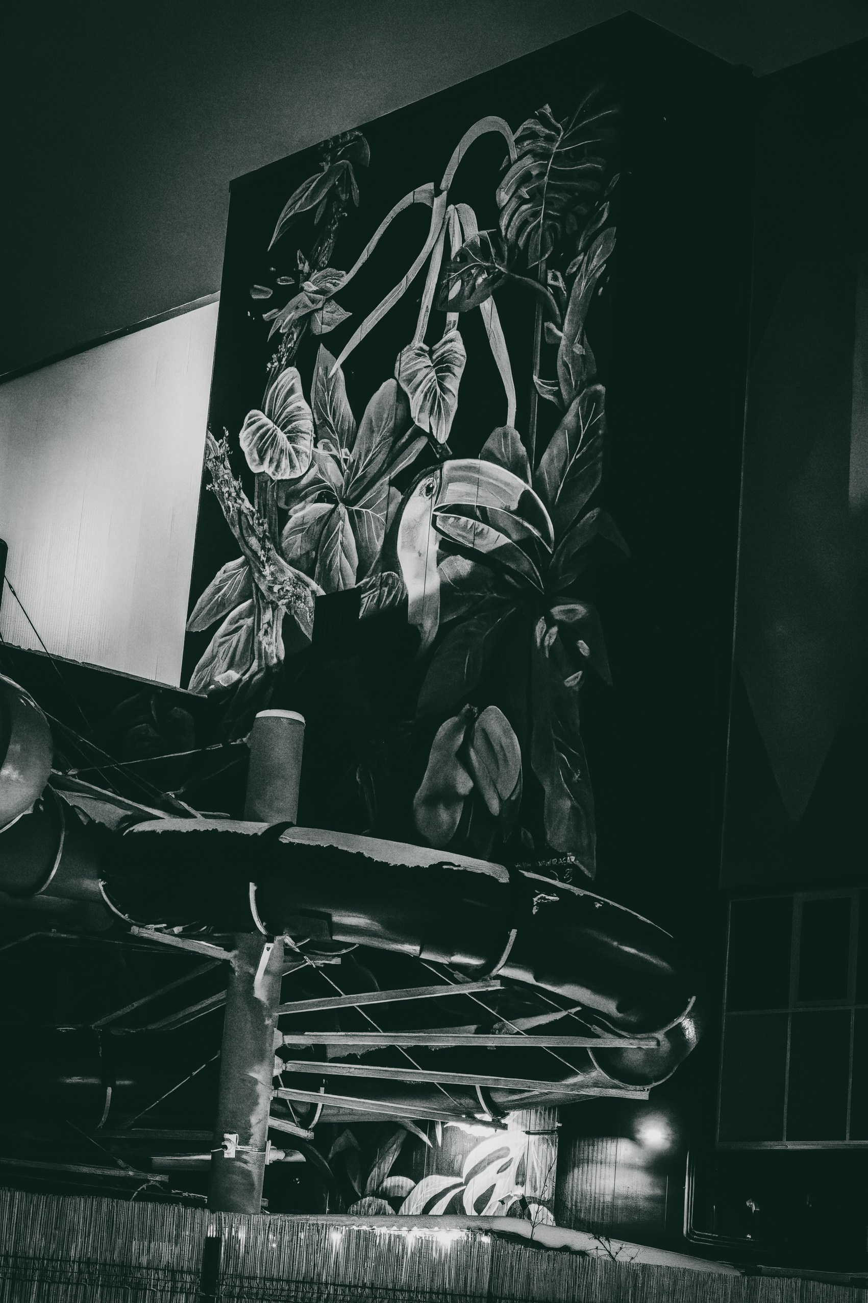 Nebula 25 — Fotod teie hingele