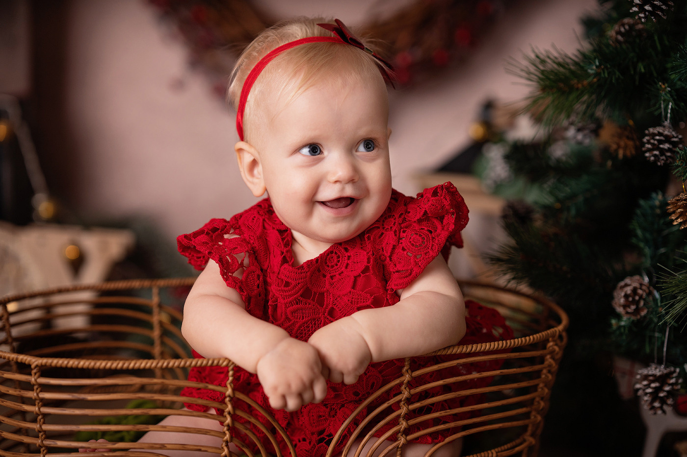Christmas mini sessions 2025| Sydney. Newborn and family photographer. Hills District. Sydney