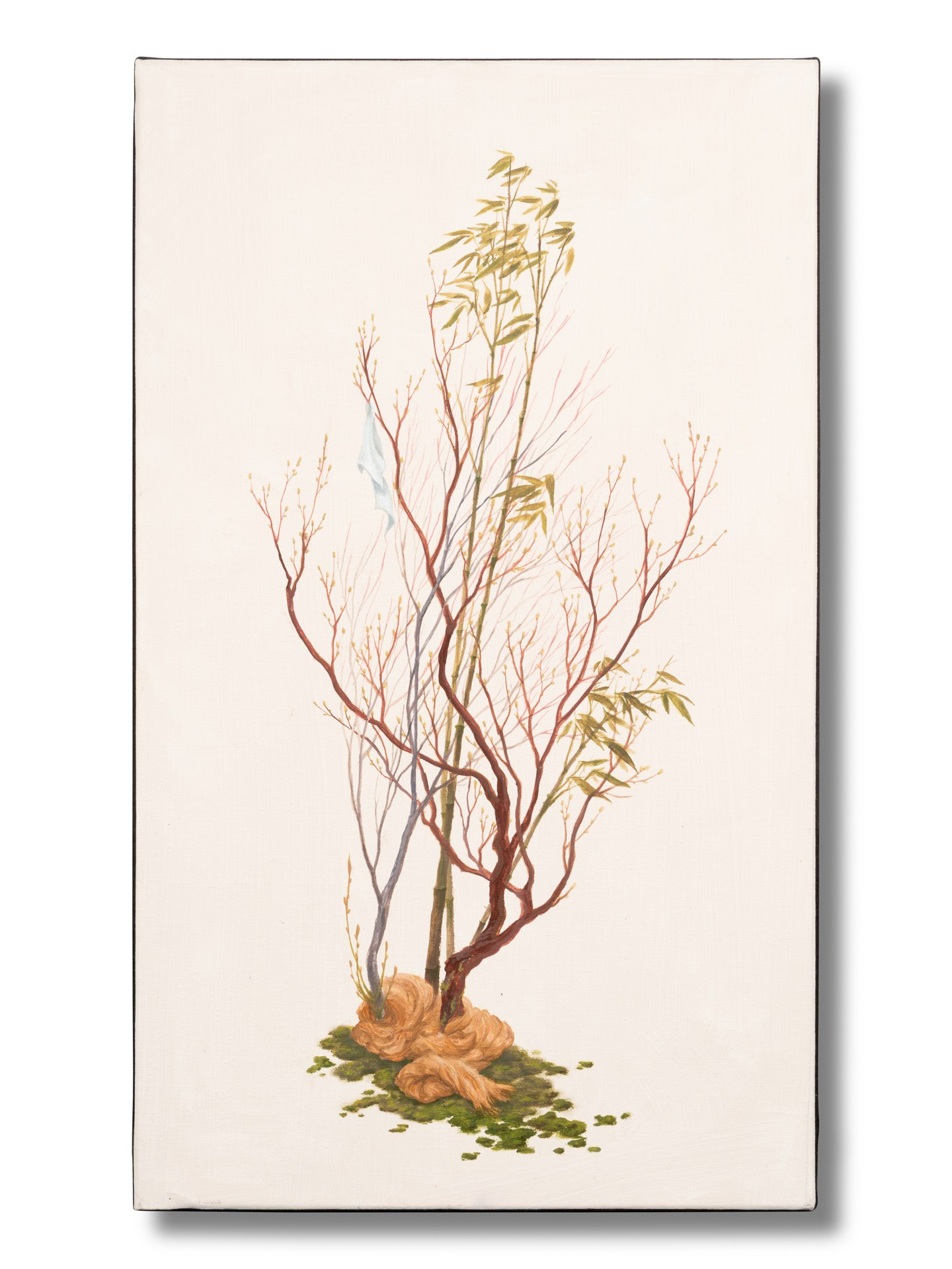 Fragments suspendus.2025. Yujoo HONG