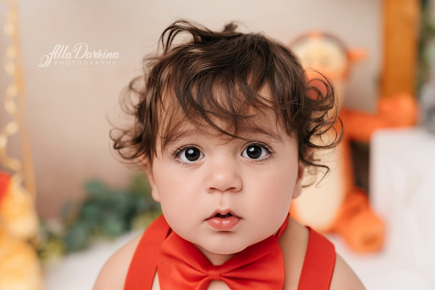 Winnie The Pooh cake smash session. Newborn and family photographer. Hills District. Sydney