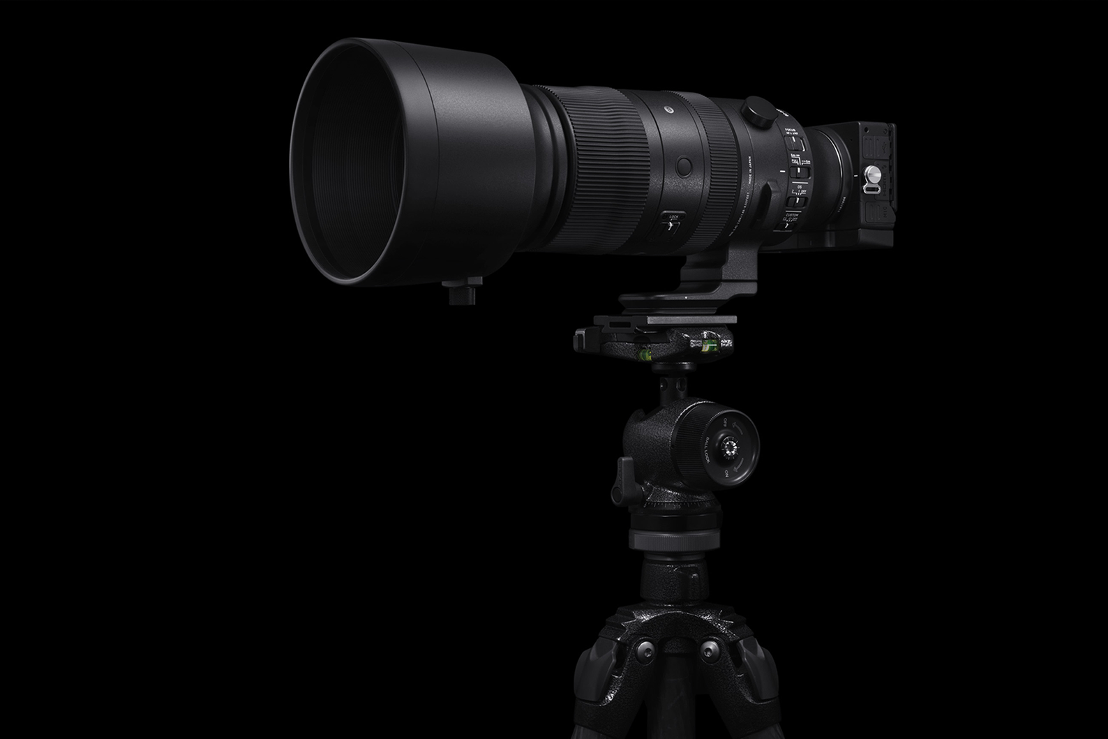 SIGMA 60-600mm — обзор. Фотограф Григорий Кравец