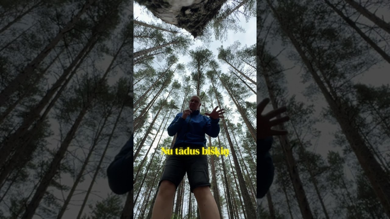 Pārgājieni Jūrmalā, pieRīgā. Video shooting and creating with phone, iPhone Video School