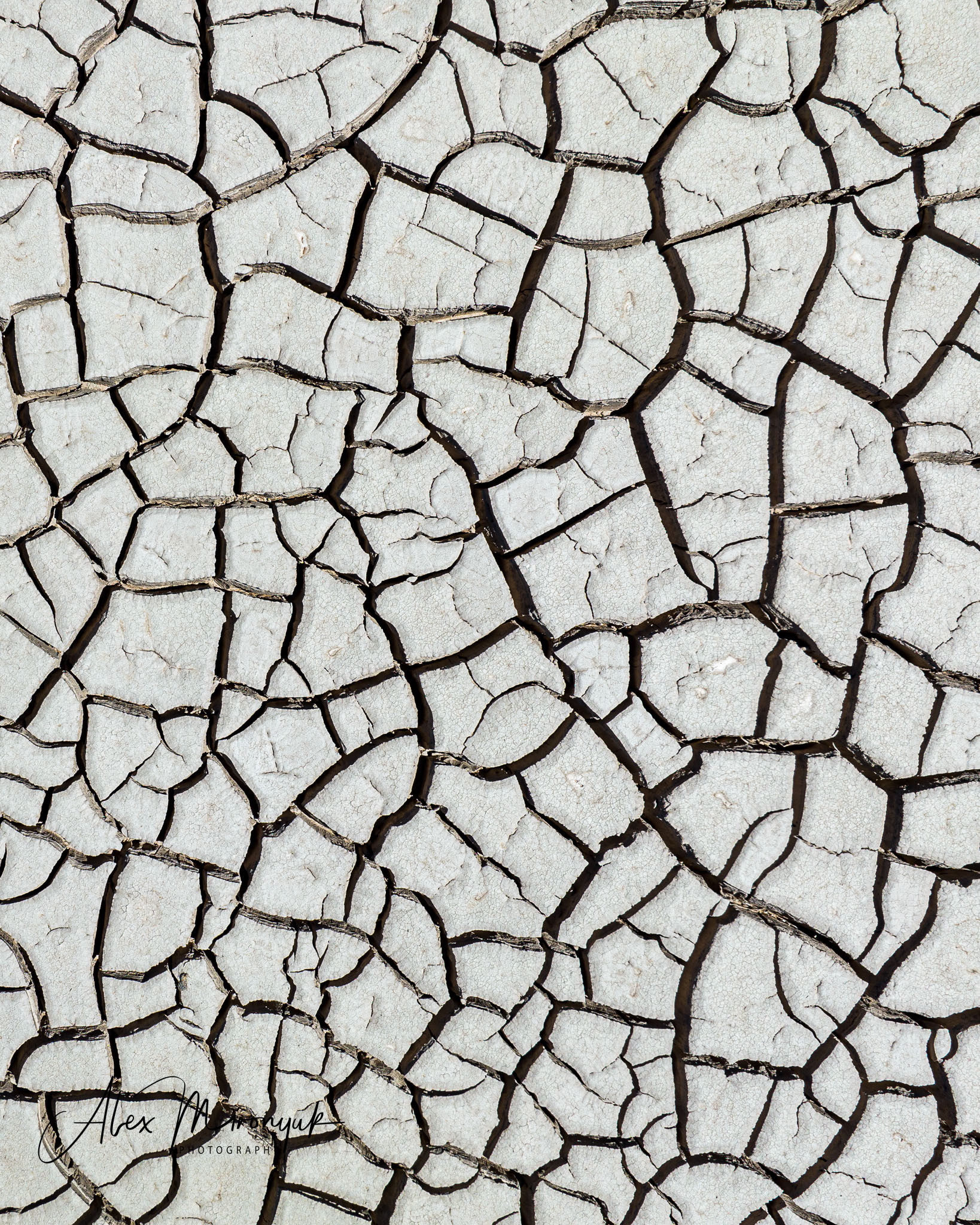 Unknown Northern Argentina. Pet, Senior, Landscape, portrait studio, photographer in Miami and Sou