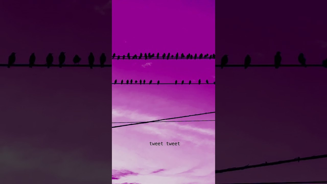 PINK NEWS COLLECTION. Visual Artist Raisa Boiko