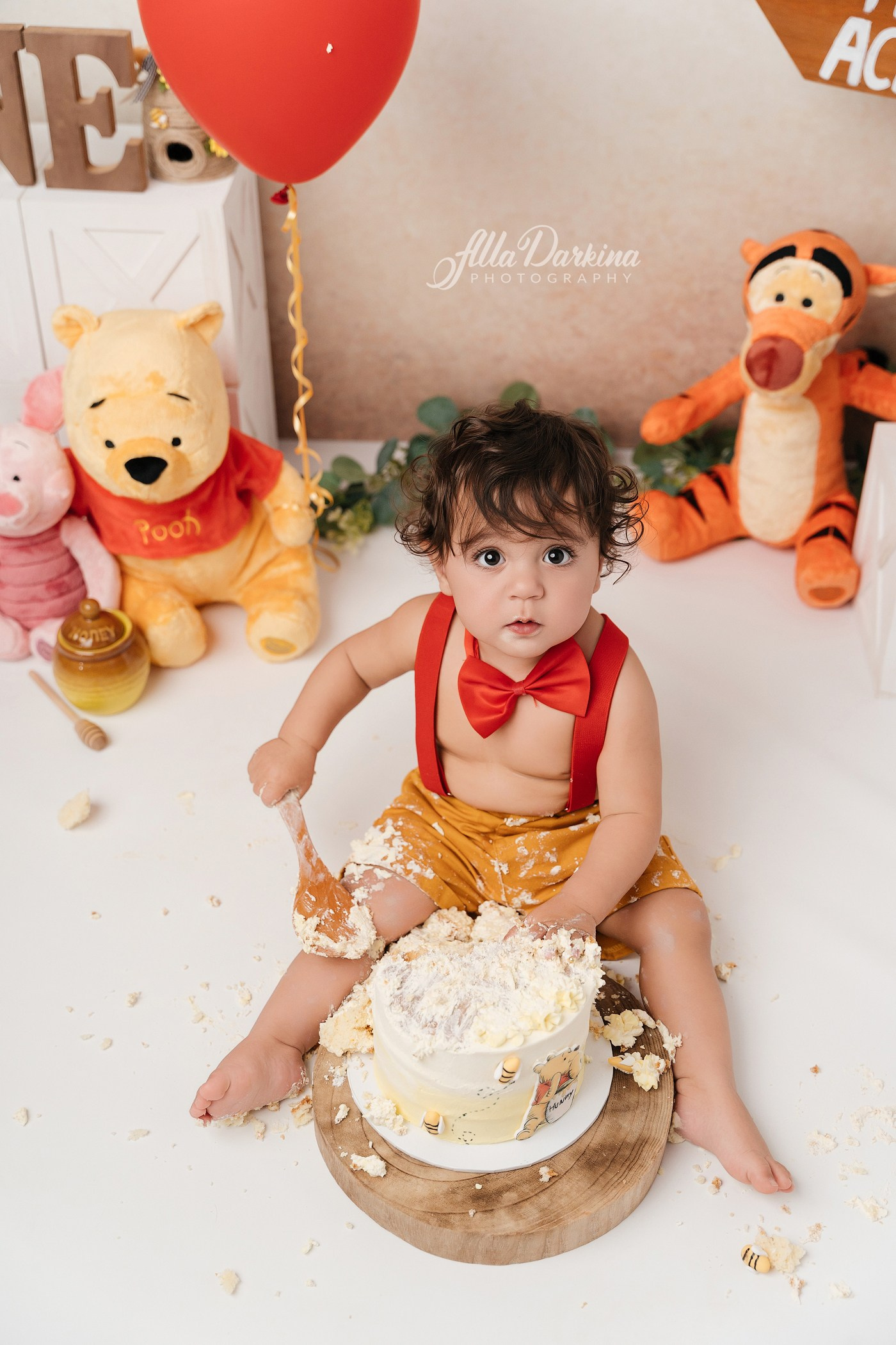 Winnie The Pooh cake smash session. Newborn and family photographer. Hills District. Sydney