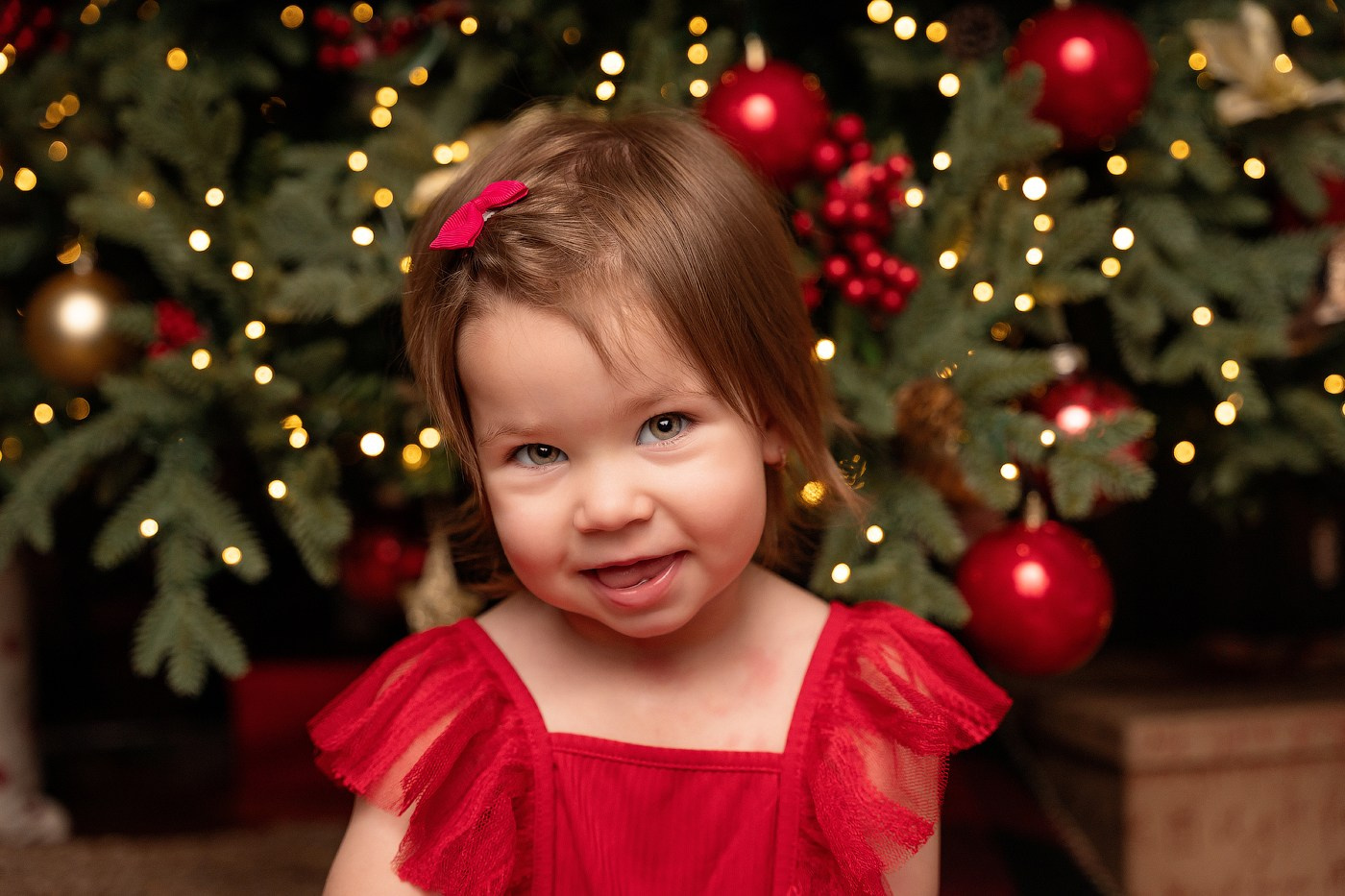 Christmas mini sessions 2025| Sydney. Newborn and family photographer. Hills District. Sydney